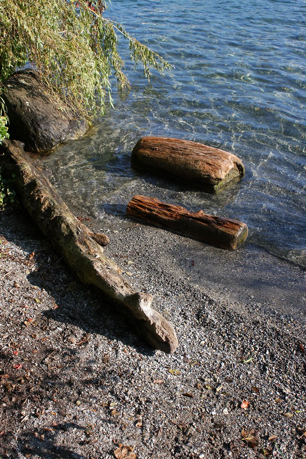 Photo showing: Spiez / Kanton Bern / Schweiz 9.2016