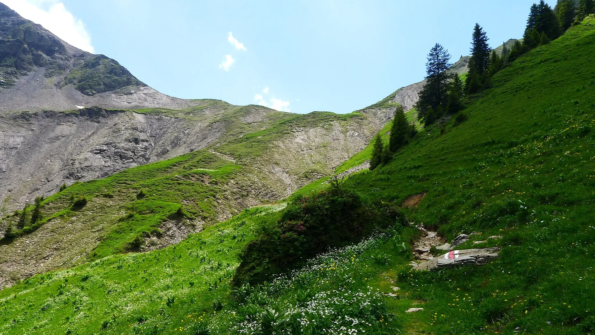 Photo showing: Blick zur Passhöhe des Rengglipasses von der Seite Saxettal.