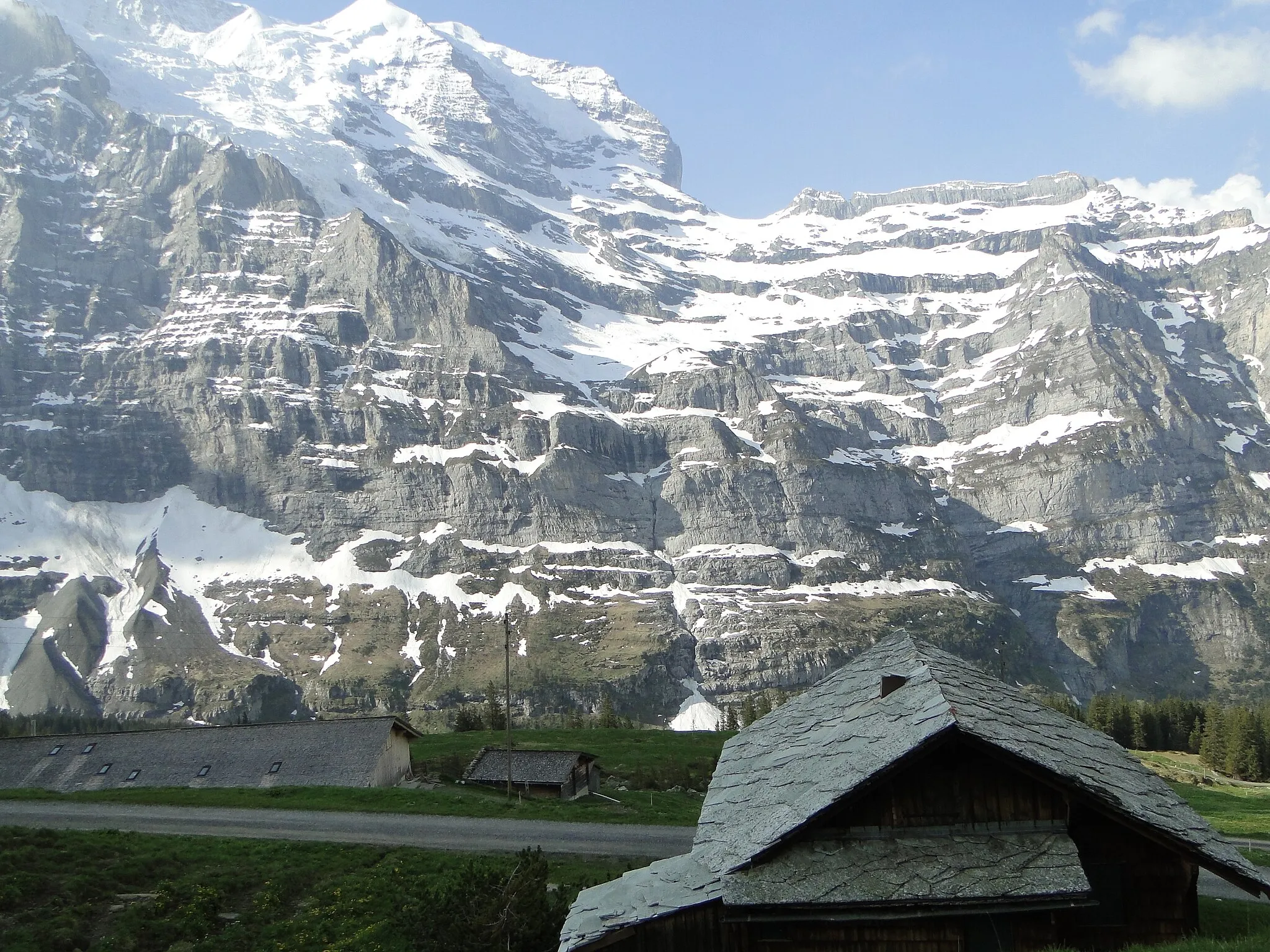 Photo showing: Jungfraujoch Region