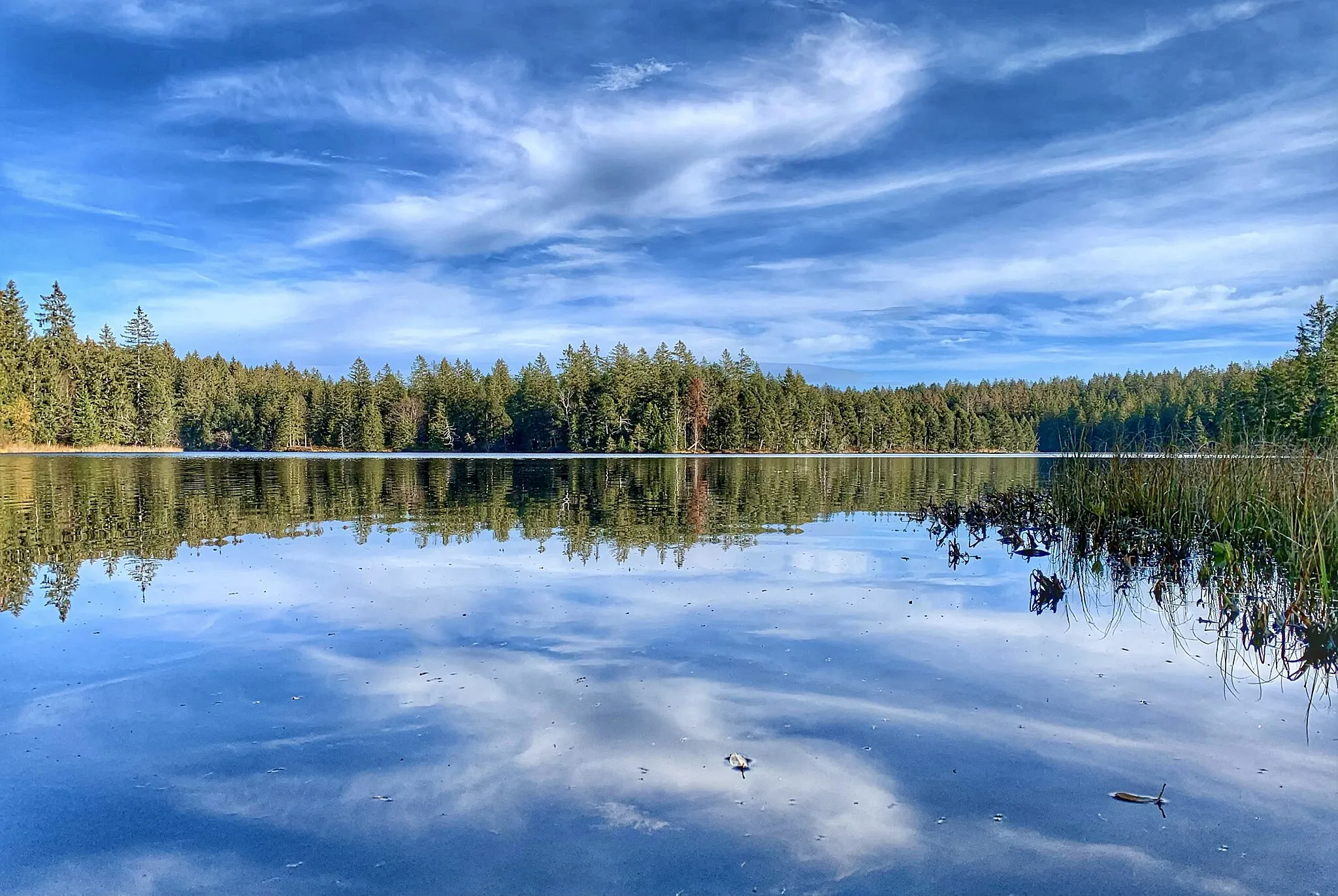 Photo showing: Spiegelung im Etang de la Gruère