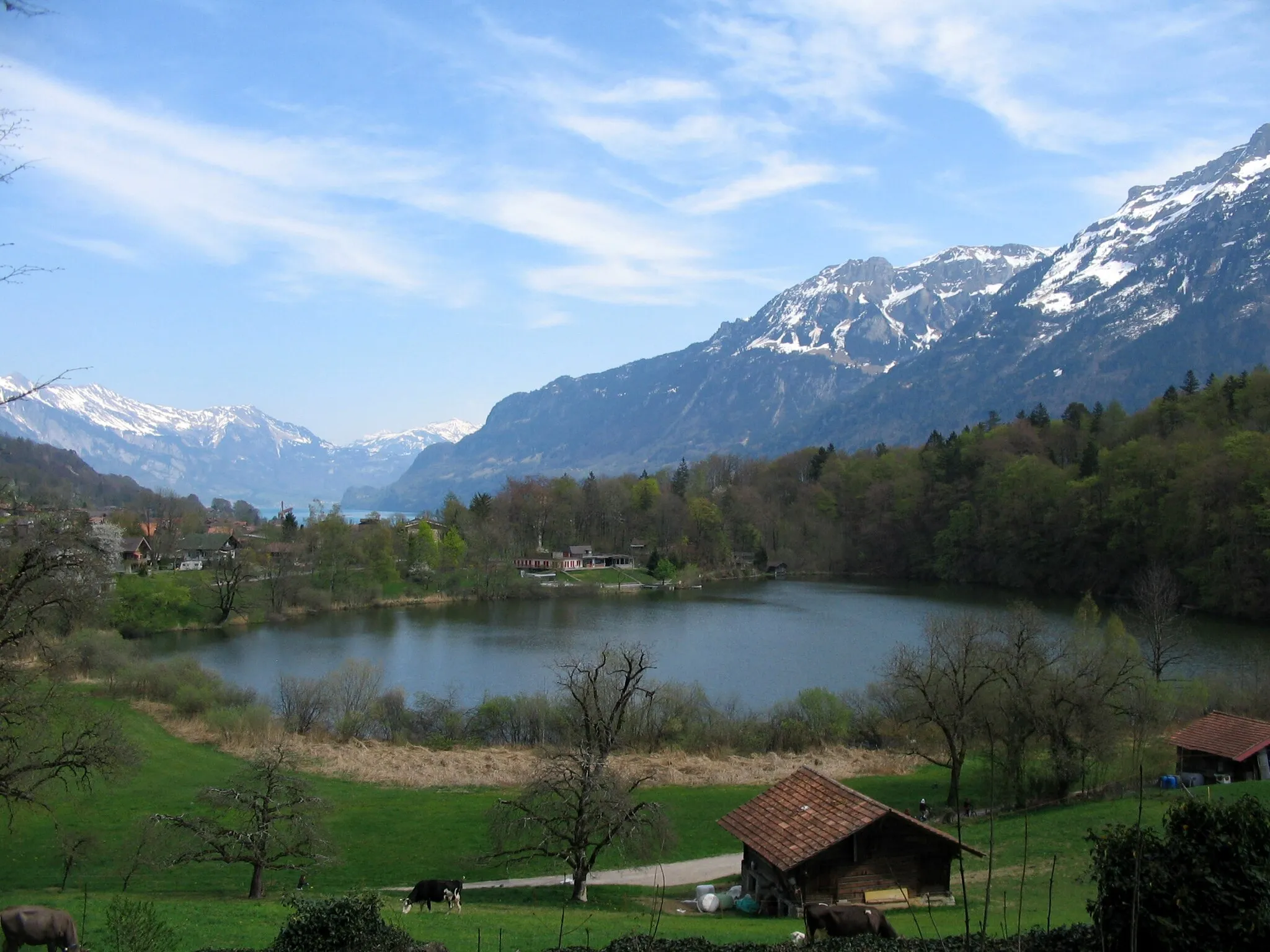 Photo showing: The Burgseeli (=little castle lake) between the villages Ringgenberg and Goldswil in the Bernese Oberland (Canton of Berne / Switzerland).