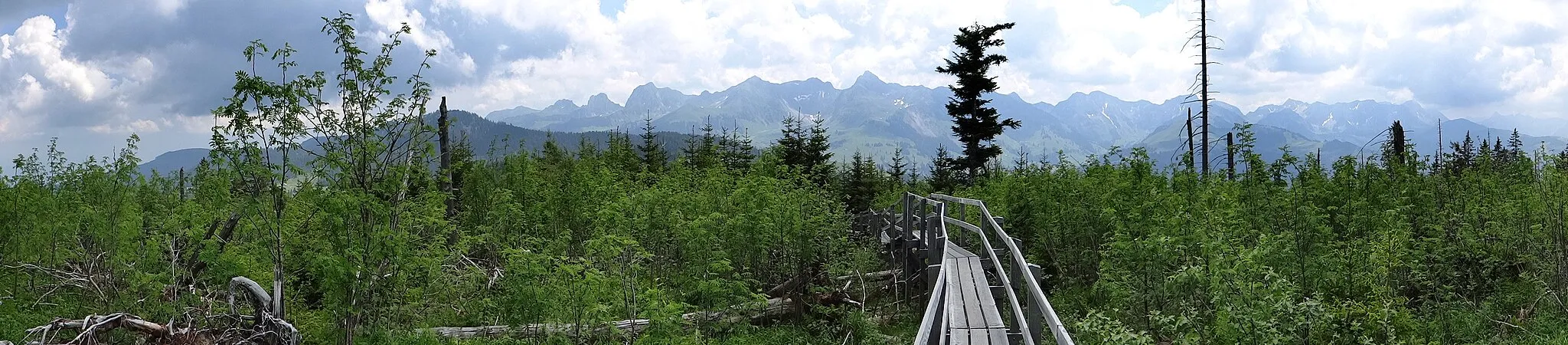 Photo showing: Nature Park Gantrisch