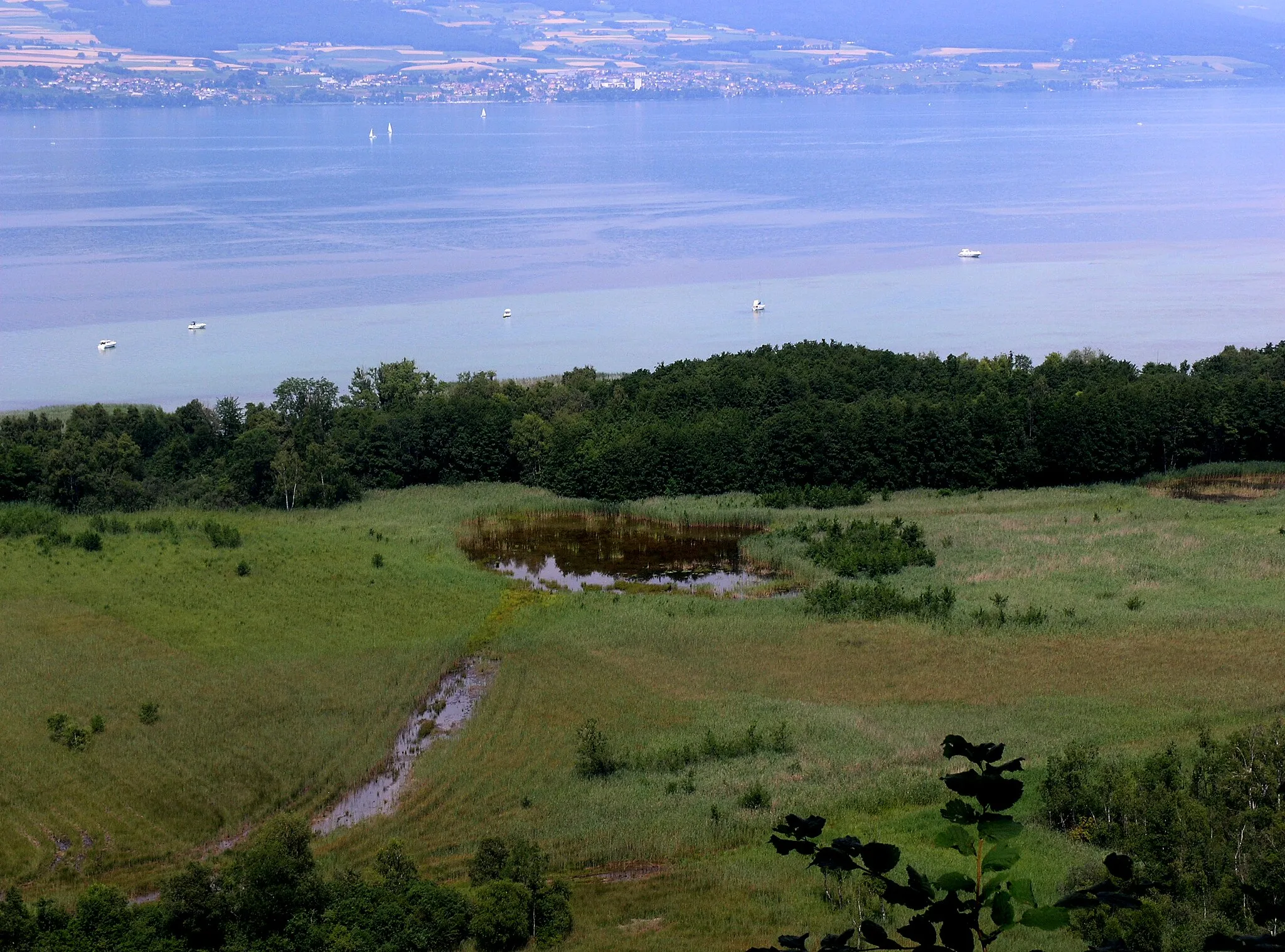 Photo showing: Grande Cariçaie at Cheyres FR, southern shore of Lake Neuchâtel, Switzerland