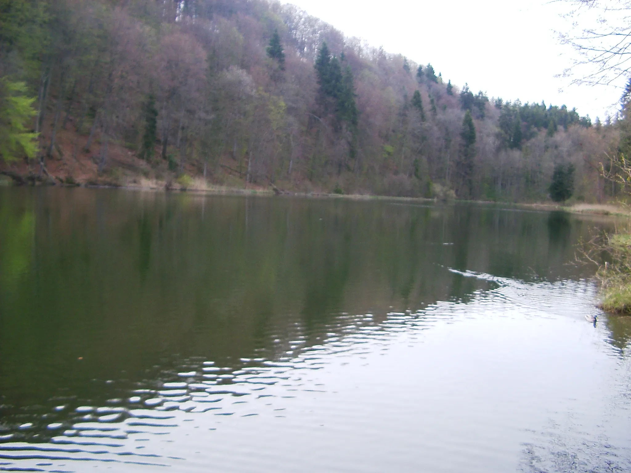 Photo showing: Pictures of the Egelsee (Switzerland, Aargau, Bergdietikon) and the arounds.