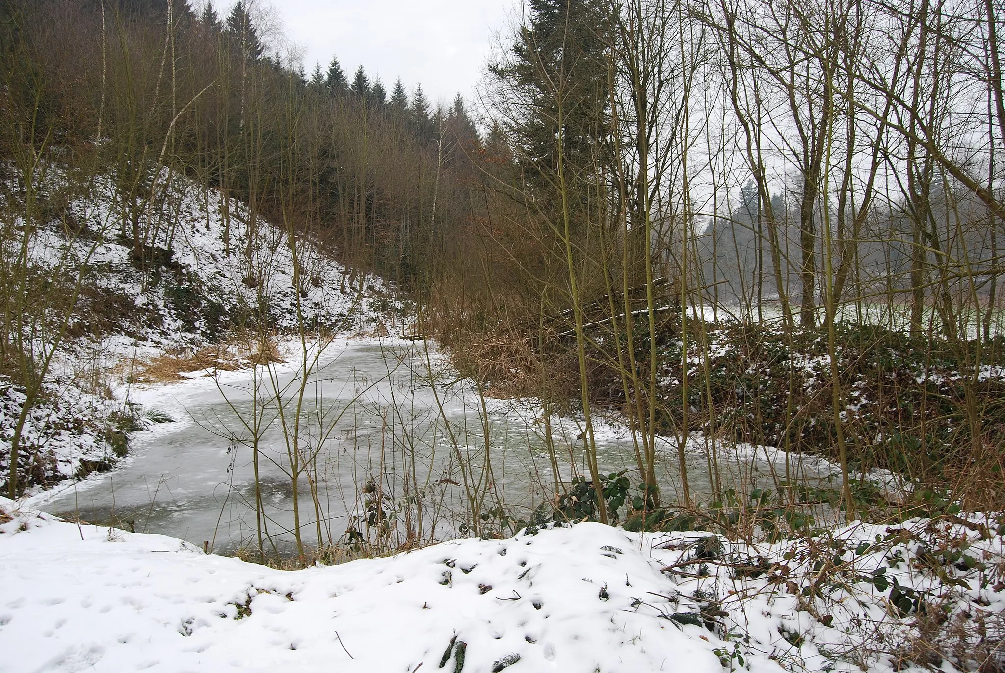 Photo showing: Frozen forest pond at Dintikon in the south of the road from Ammerswil to Dintikon, canton of Aargau, Switzerland