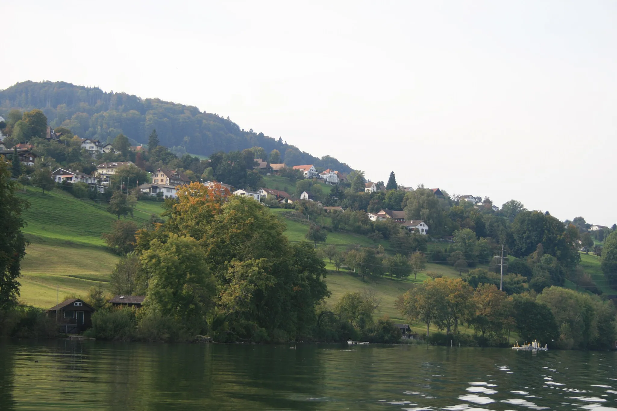 Photo showing: Blick vom Hallwilersee auf Birrwil