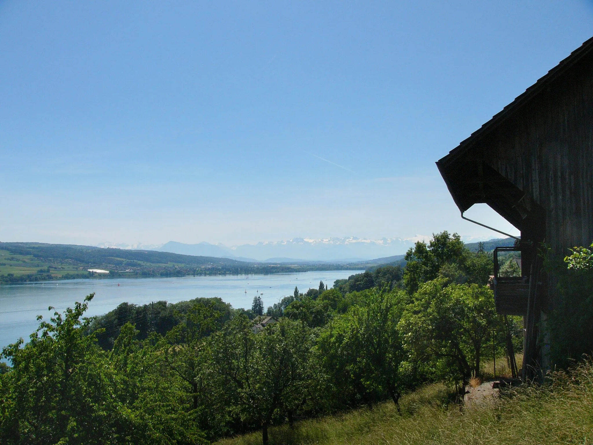 Photo showing: Hallwiler See in den Kantonen Aargau und Luzern, Schweiz