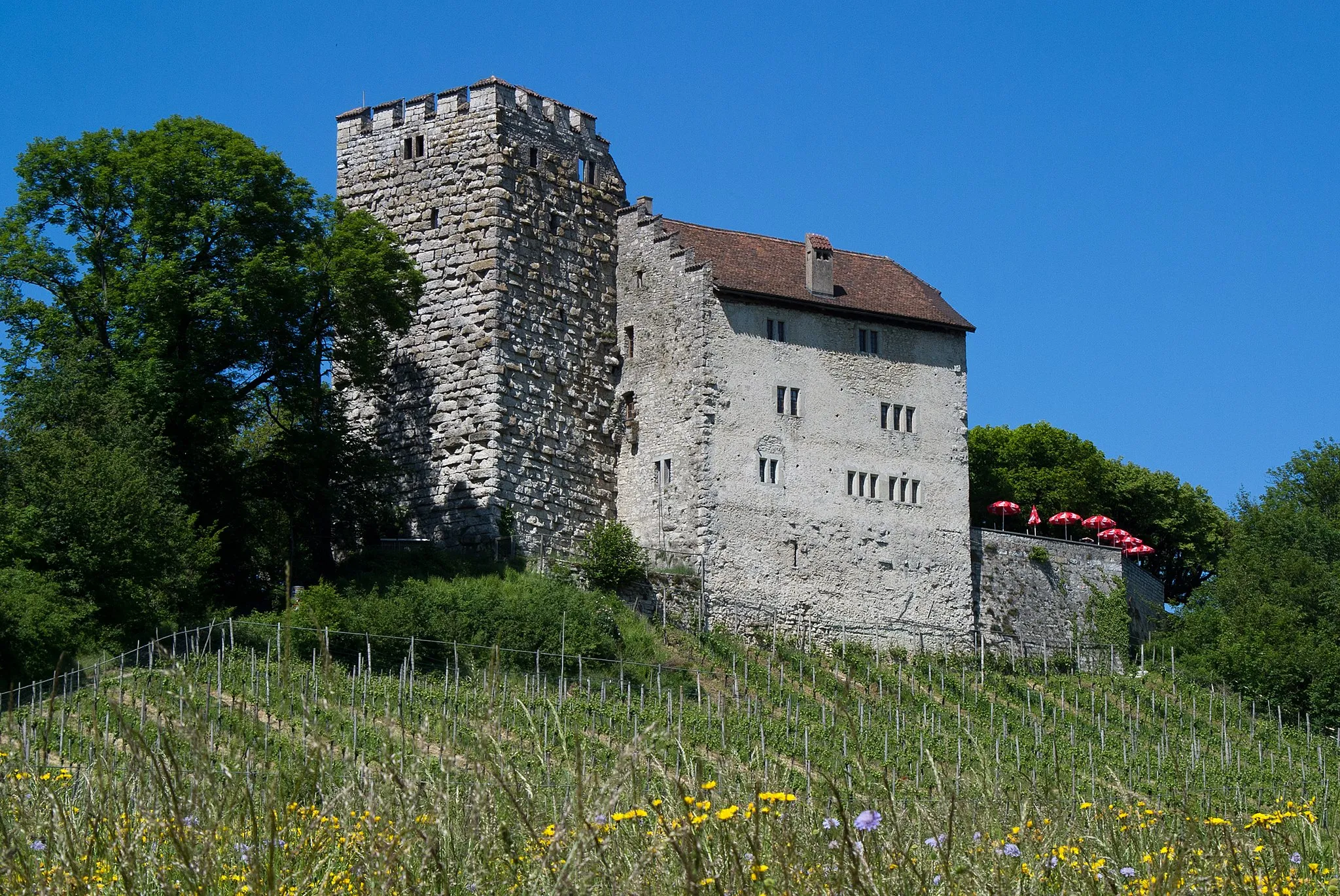 Photo showing: Schloss Habsburg