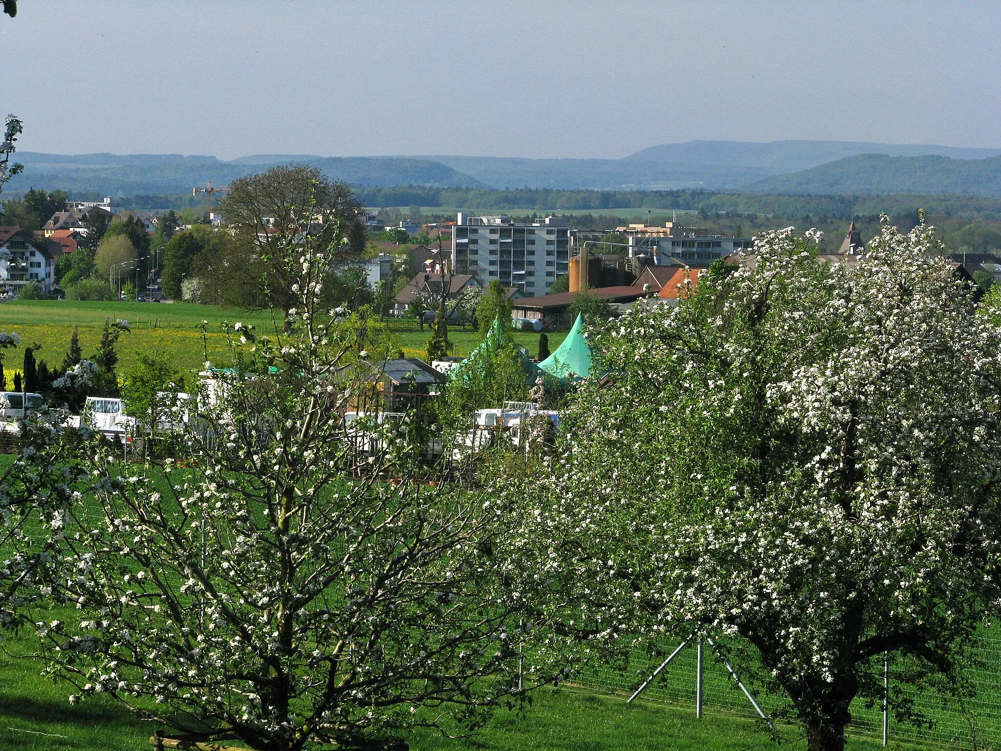 Photo showing: Letten in Rümlang (Switzerland)