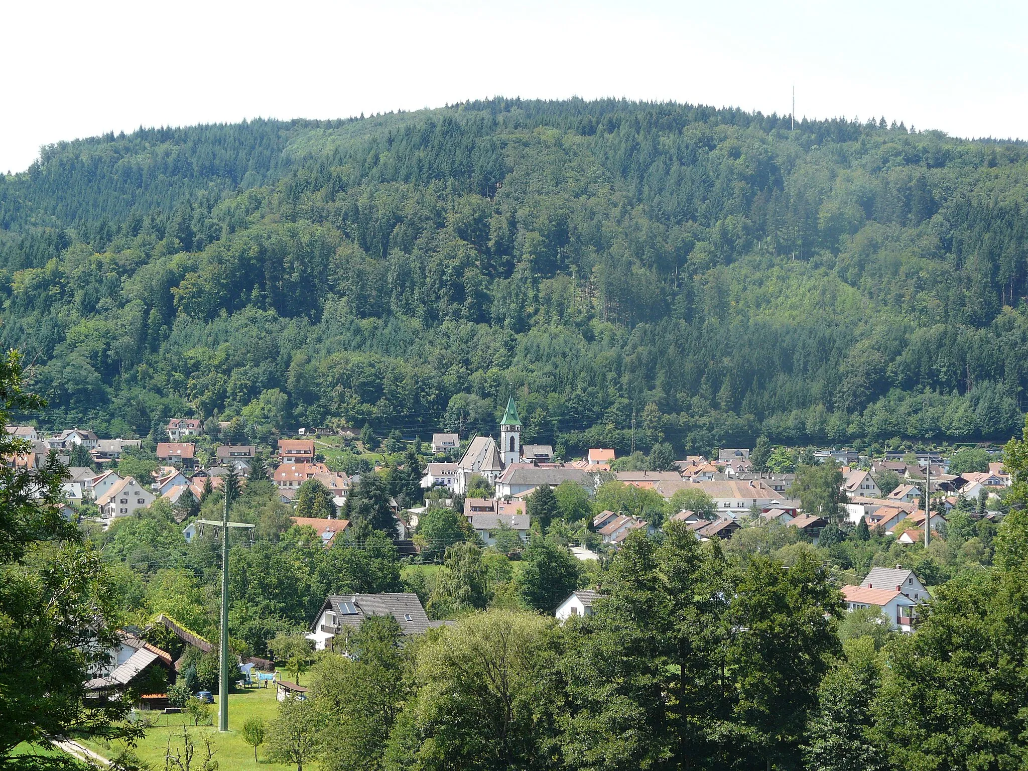 Photo showing: Middle and Northern part of Hausen im Wiesental. Picture taken below Raitbach