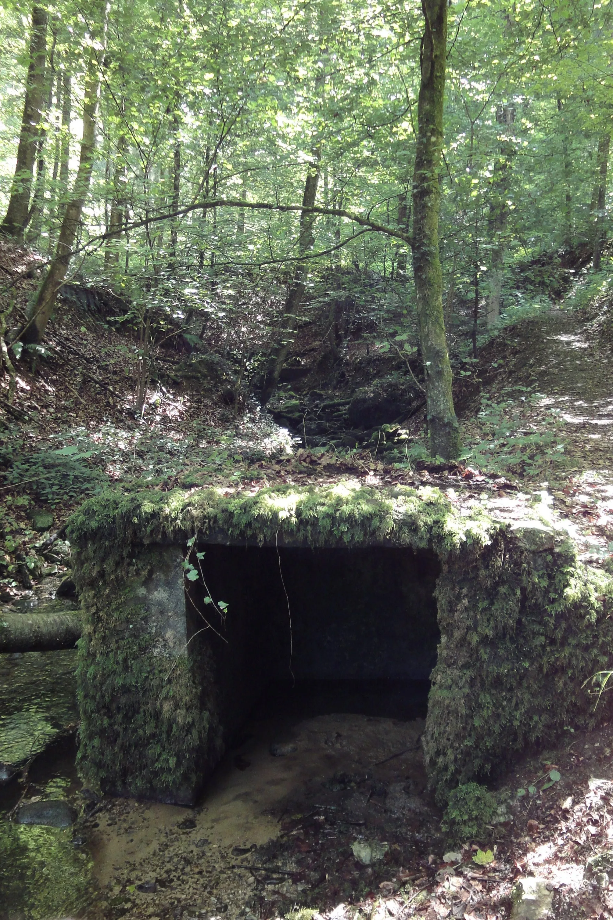 Photo showing: alte Brunnenstube am Mühlibächli