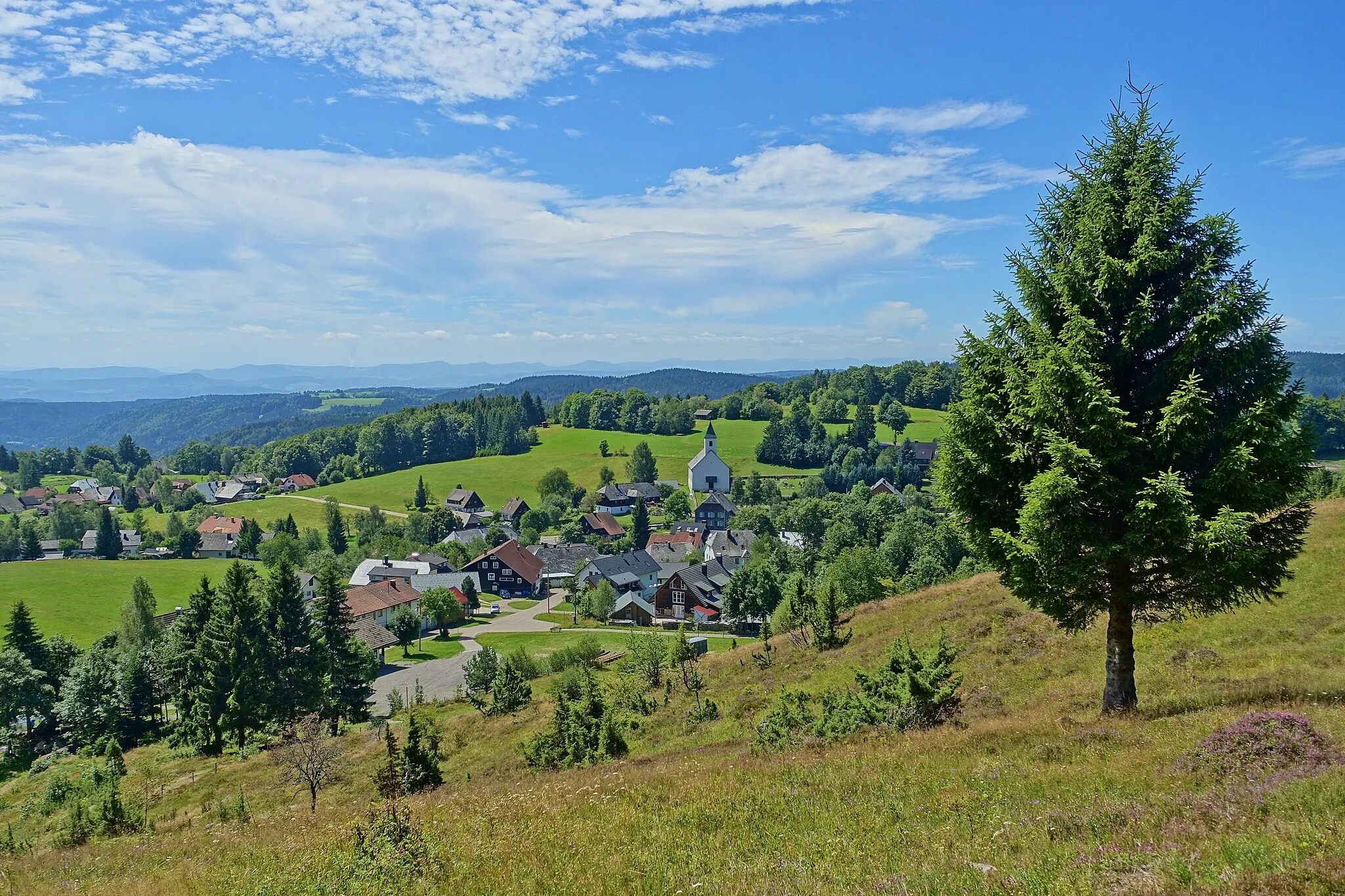 Photo showing: Der Dachsberger Ortsteil Urberg. NSG Rüttewies-Scheibenrain mit unterschiedlichen Lebensräumen wie z. B. Hoch- und Niedermoore, Feucht- und Magerwiesen sowie Magerrasen und Wälder als Lebensraum teilweise stark gefährdeter Tier- und Pflanzenarten.
Hier im Gewannen Scheibenrain.