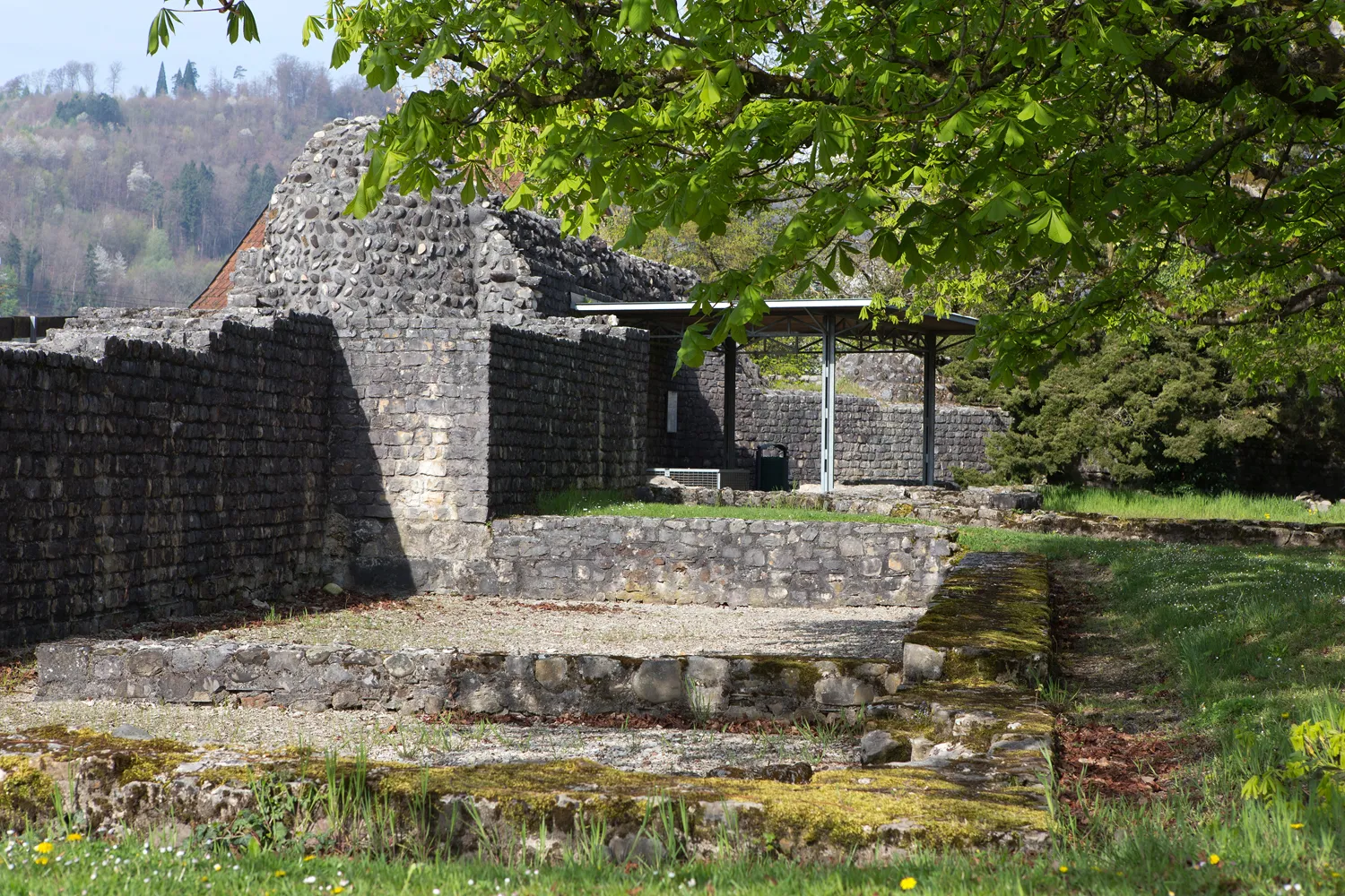 Photo showing: Römisches Kastell Kirchlibuck Tenedo in Bad Zurzach