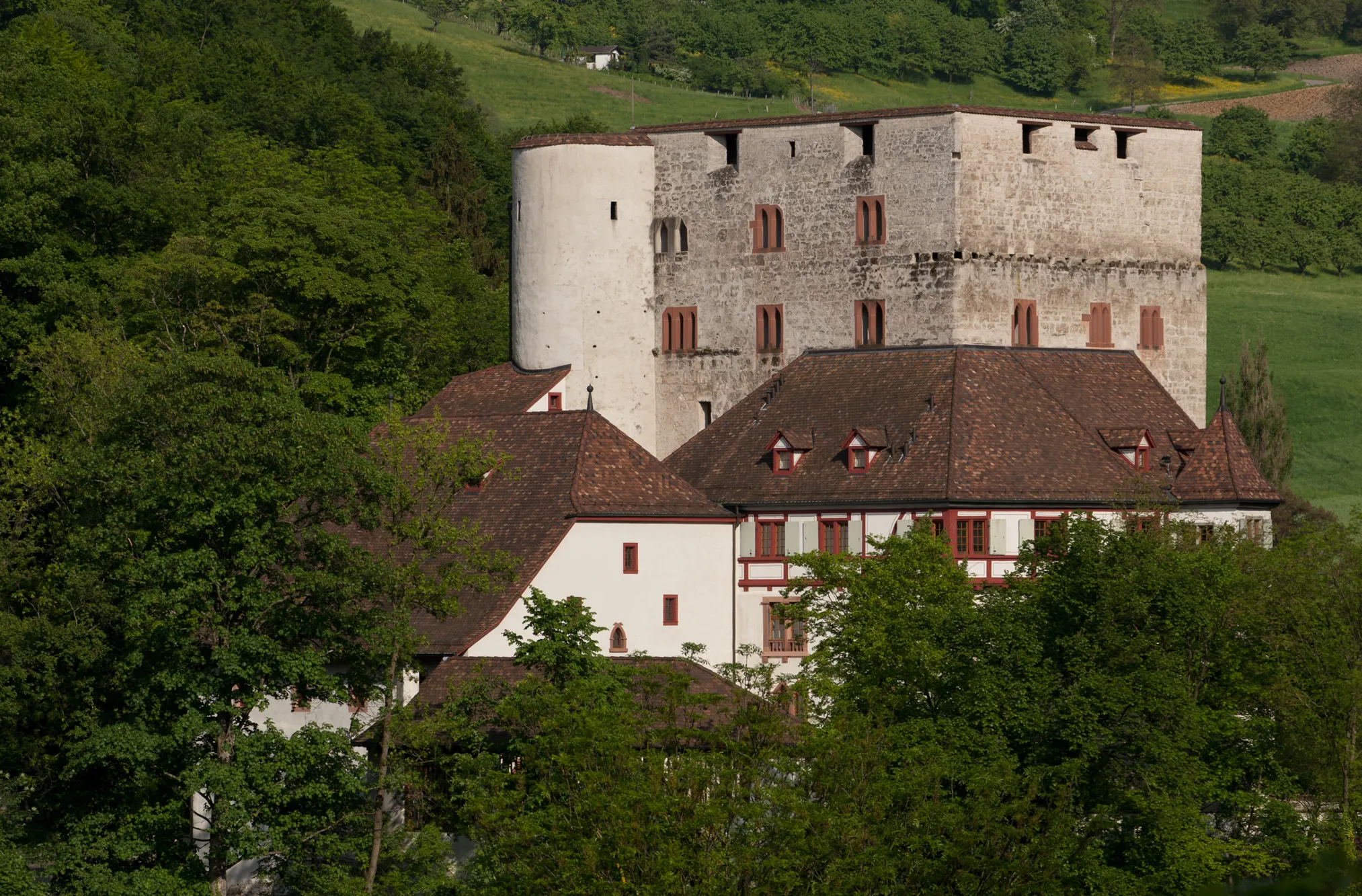 Photo showing: Schloss Angenstein in Duggingen
