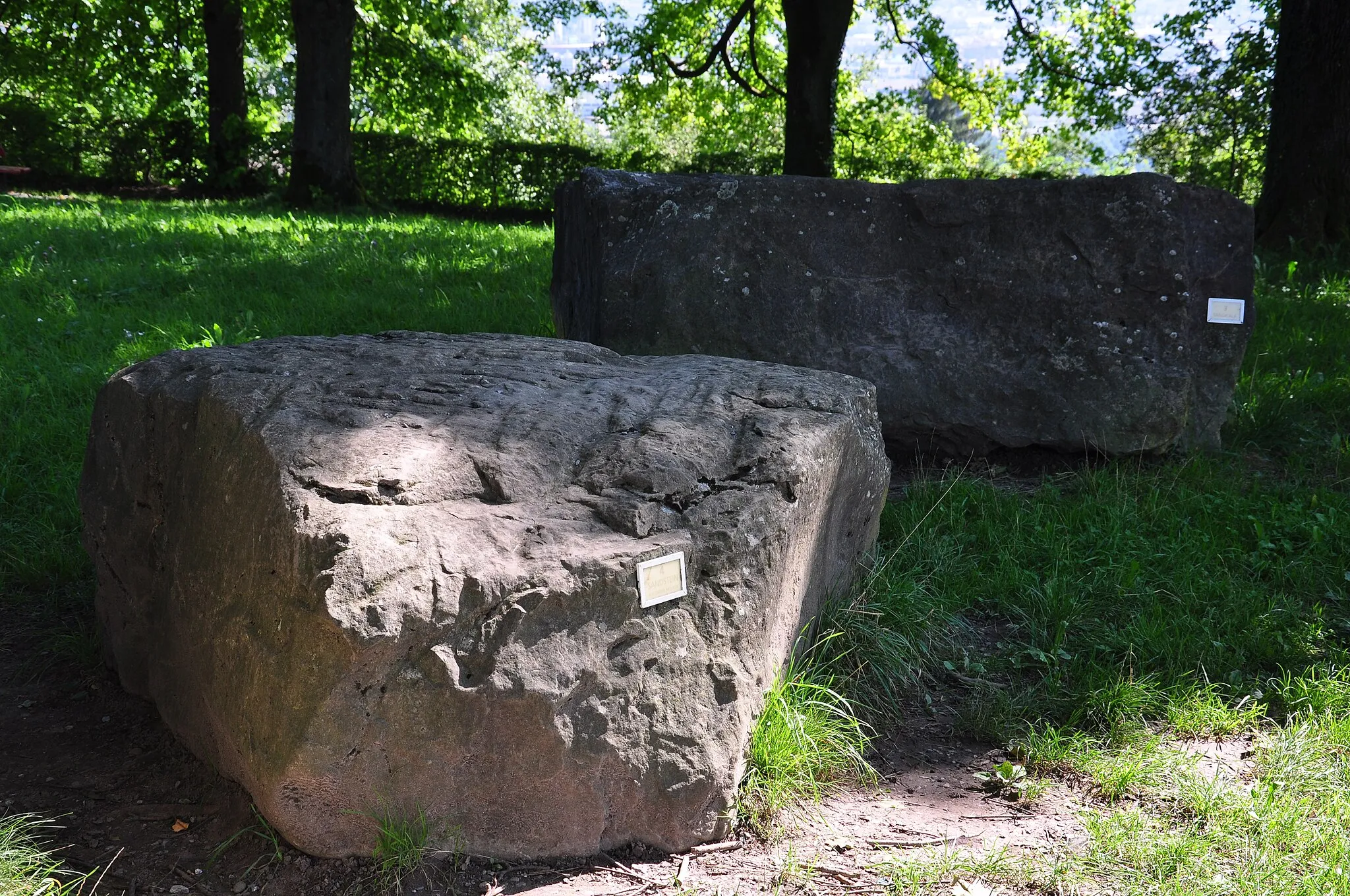 Photo showing: Findlingsgarten Kappenbühl in Zürich-Höngg (Switzerland)