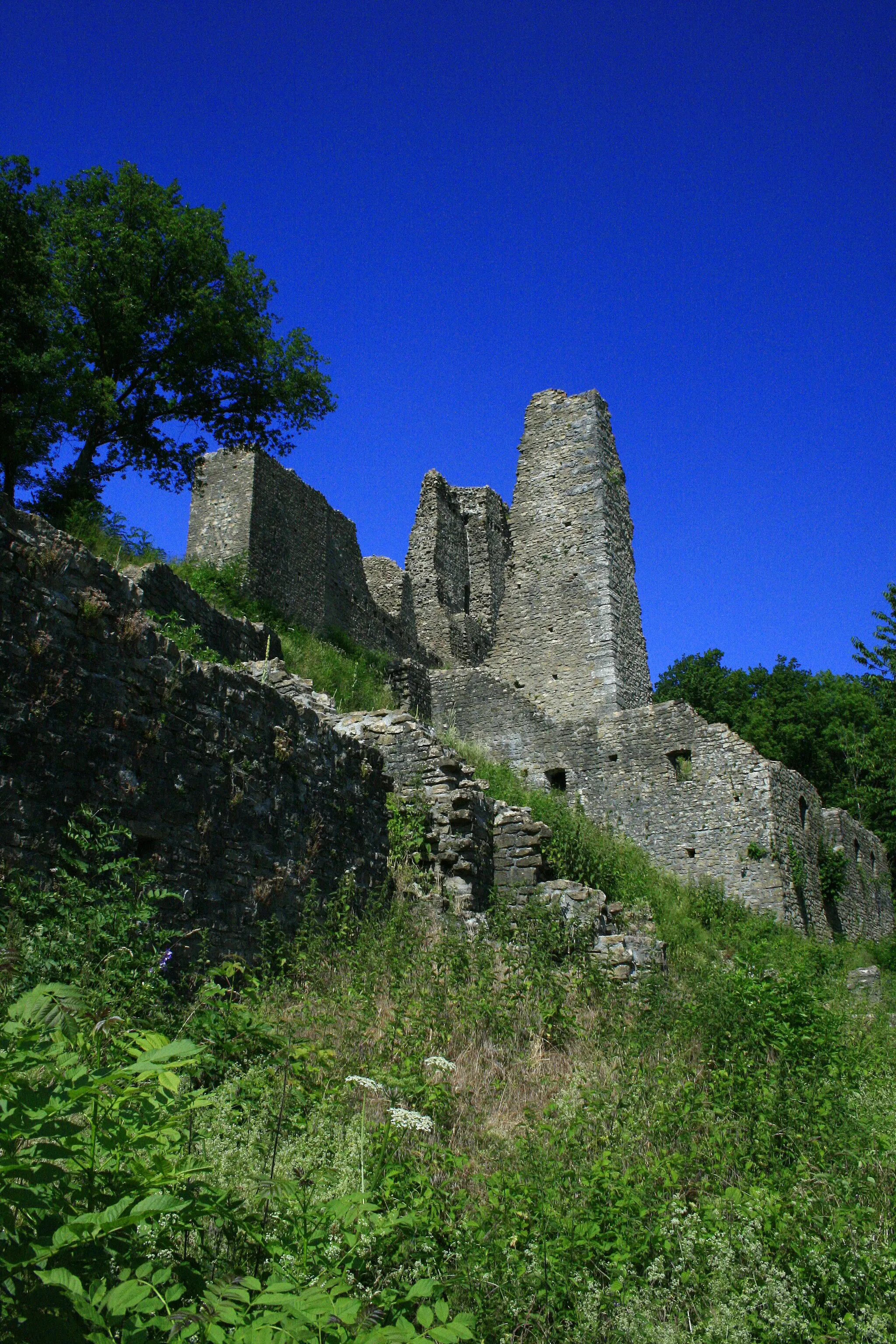 Photo showing: Burg Schenkenberg