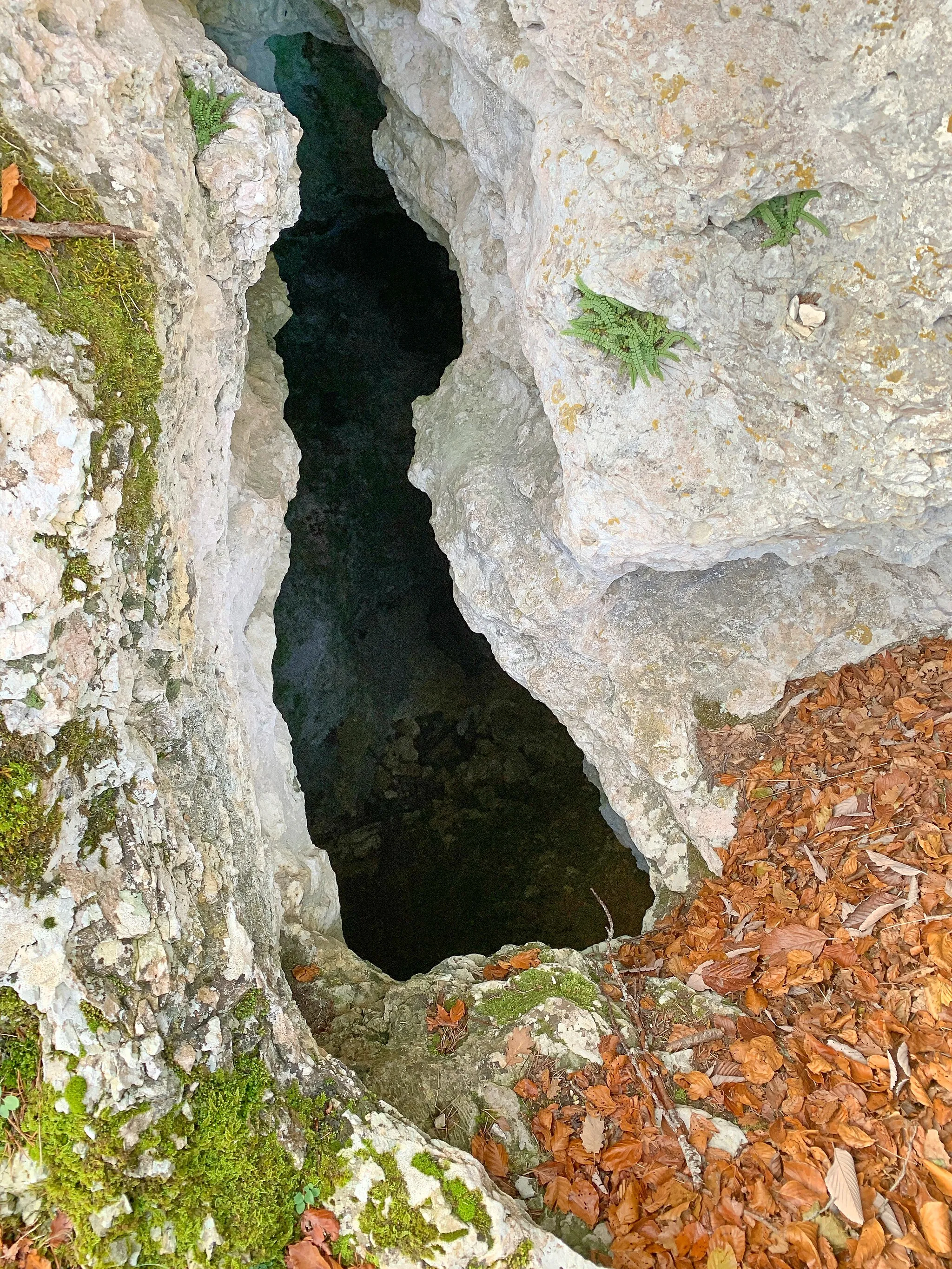 Photo showing: Der Roc de Courroux besteht aus Kalk, Wasser löst Material aus, der Berg ist mit kleinen und grösseren Löchern durchsetzt.