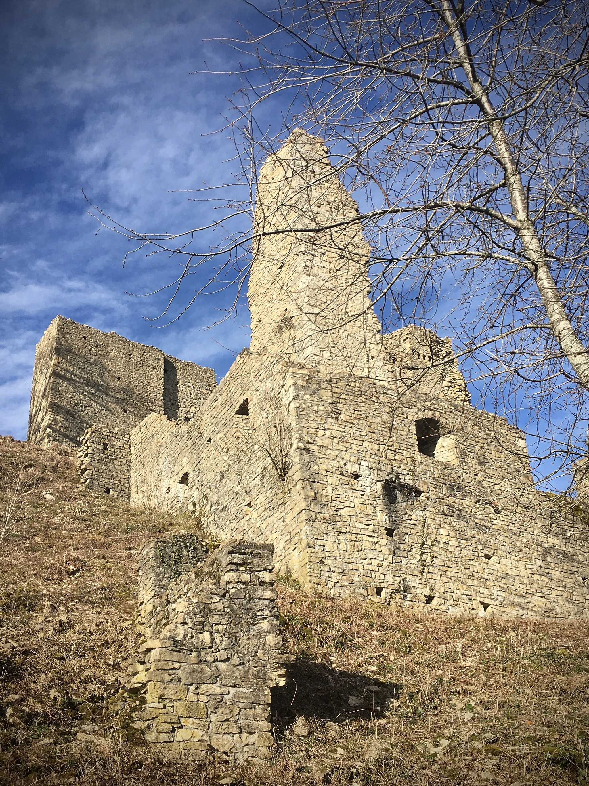 Photo showing: Spring is coming to Schenkenberg castle
