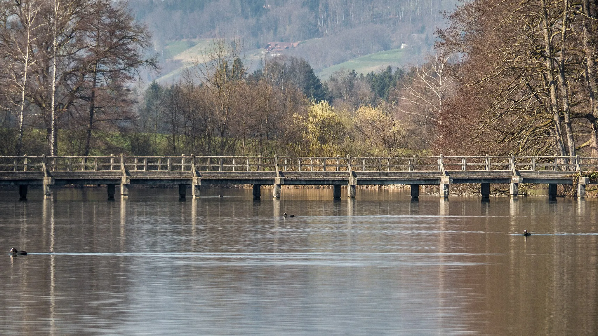 Photo showing: Private Road Bridge over the Mauensee, Mauensee, Canton of Lucerne, Switzerland