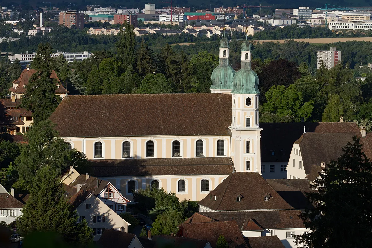 Photo showing: Der Dom in Arlesheim (Im Hintergrund Gewerbezone von Aesch BL)