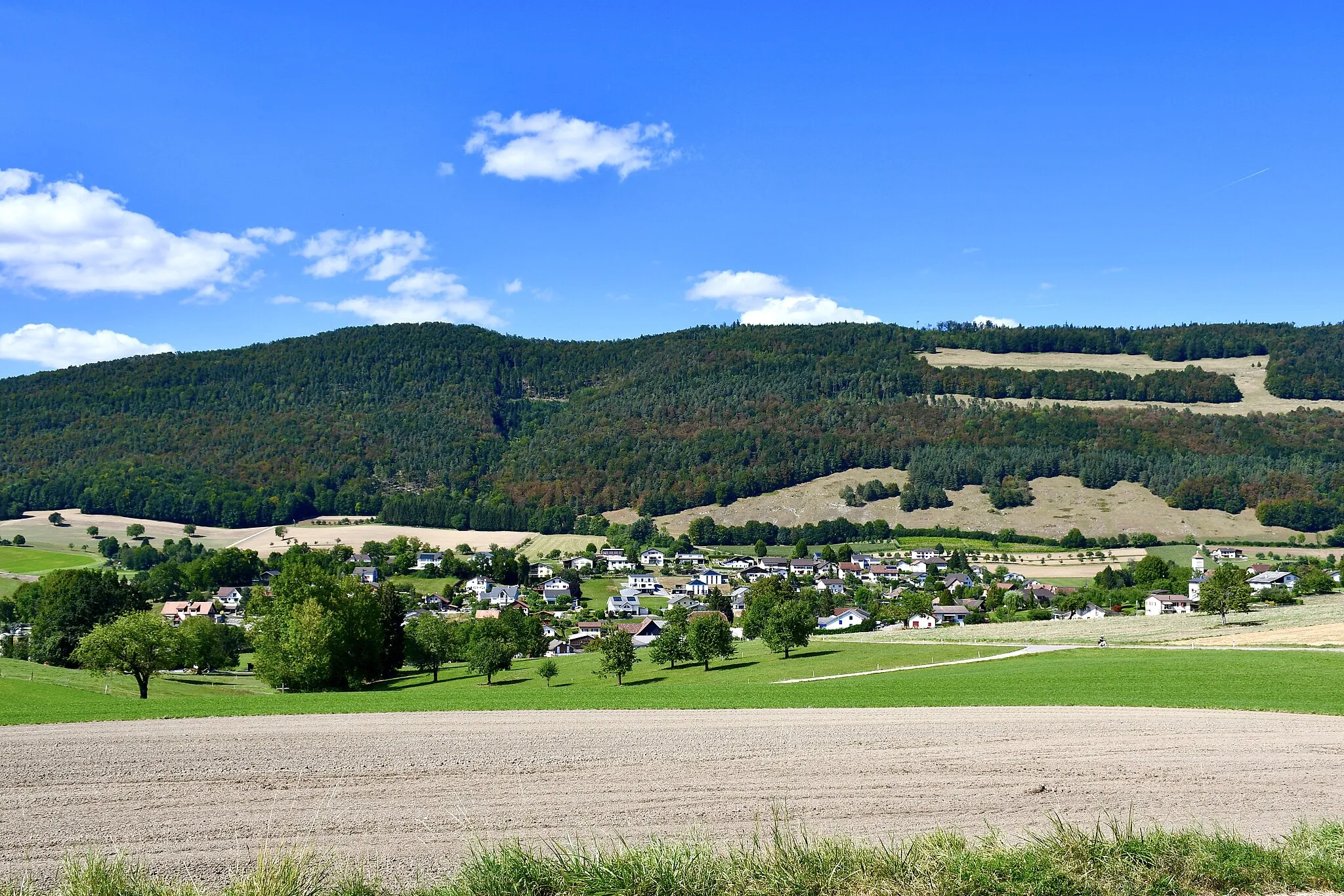 Photo showing: Vue du village de Montsevelier, dans le canton du Jura, en Suisse.