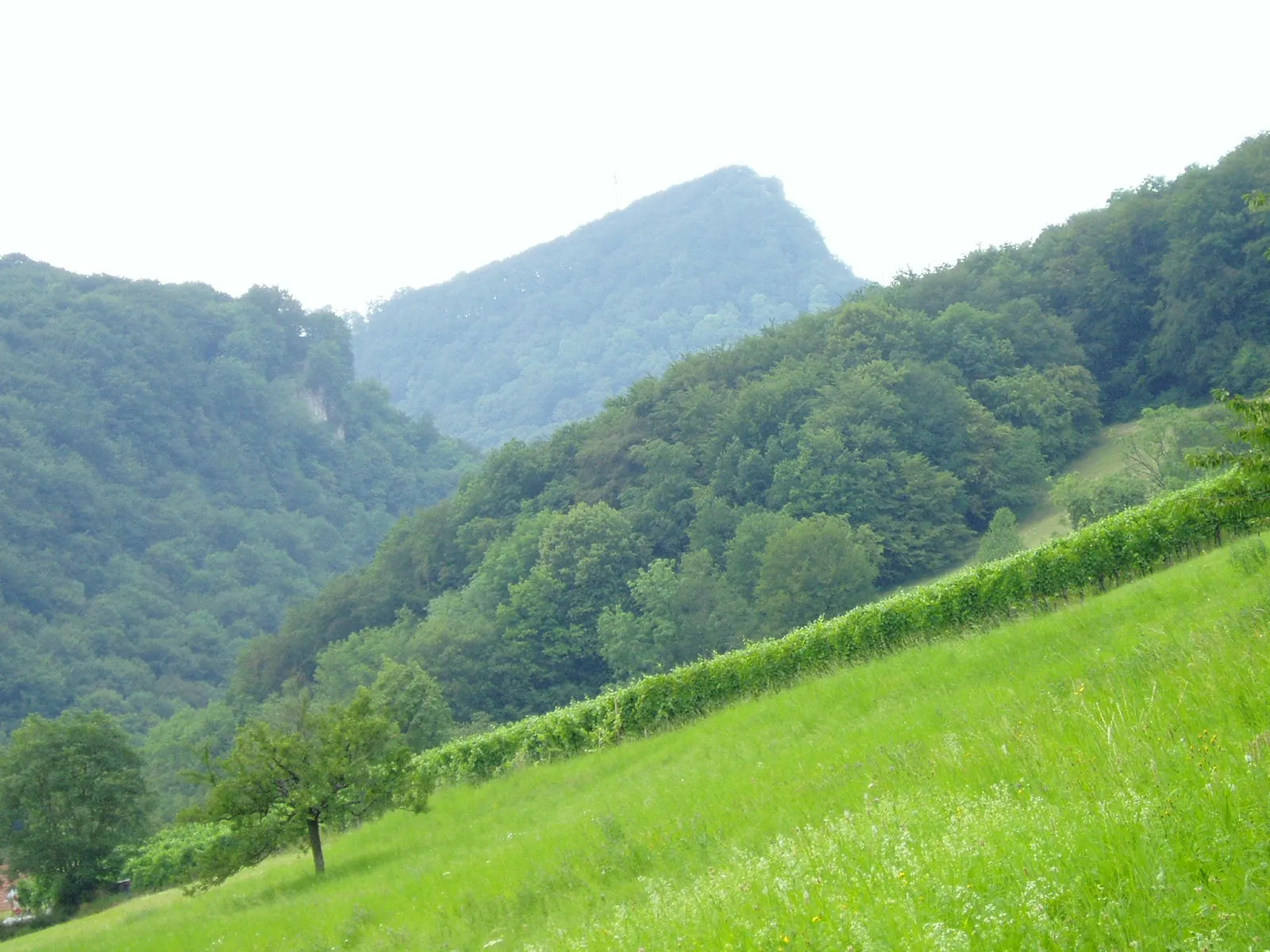 Photo showing: Wasserfluh, mountain in Switzerland, pictured from N 47°25'20 W8°02'40