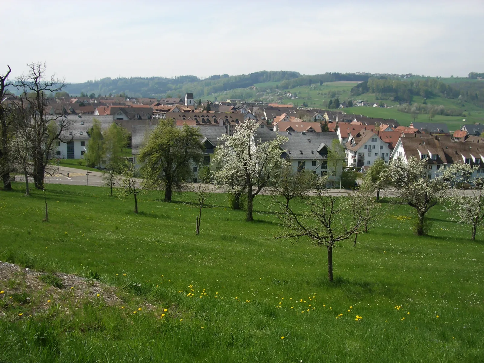 Photo showing: Bonstetten ZH, Switzerland