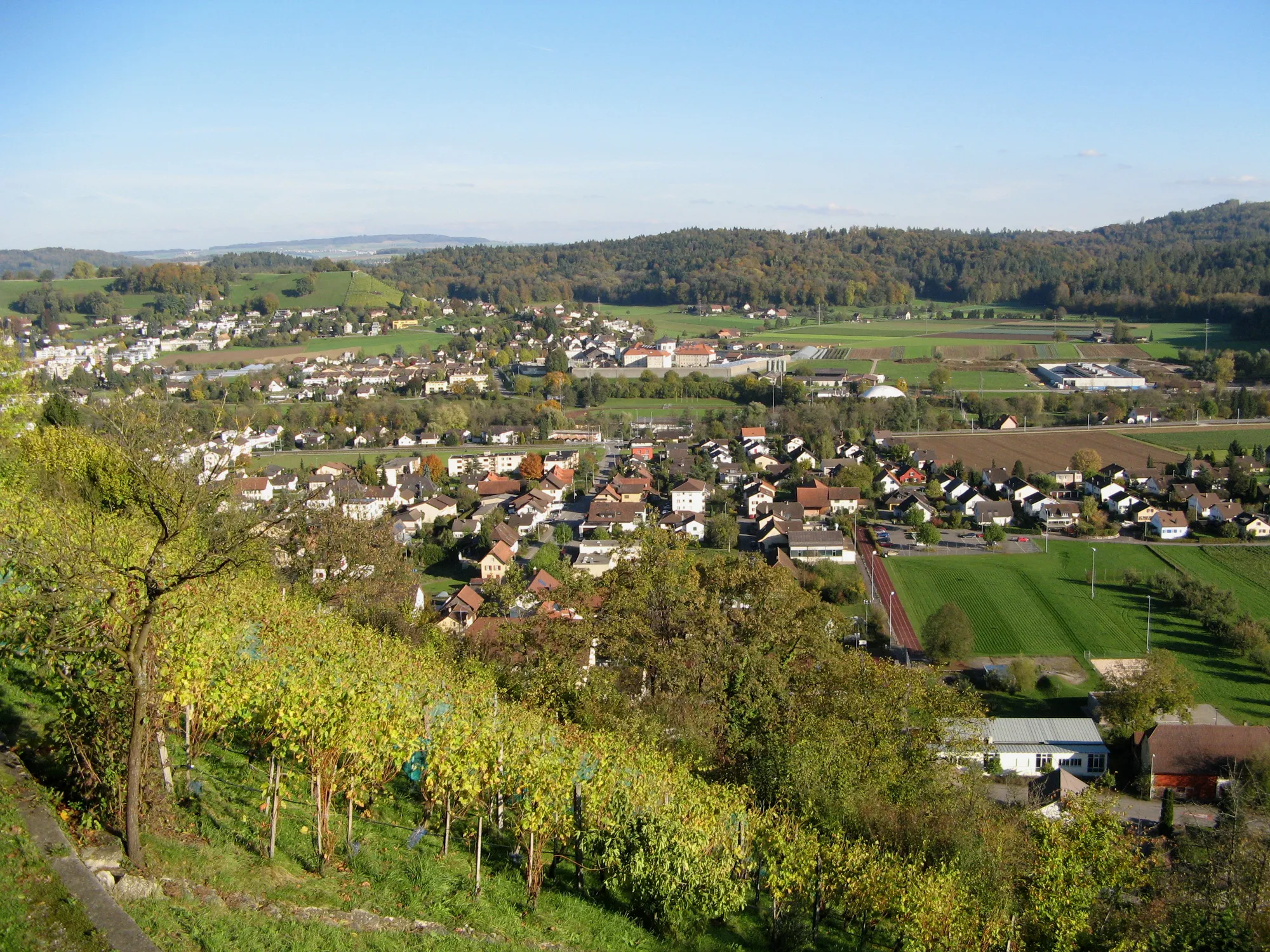 Photo showing: Ansicht von Staufen mit Rebberg, aufgenommen vom Staufberg aus