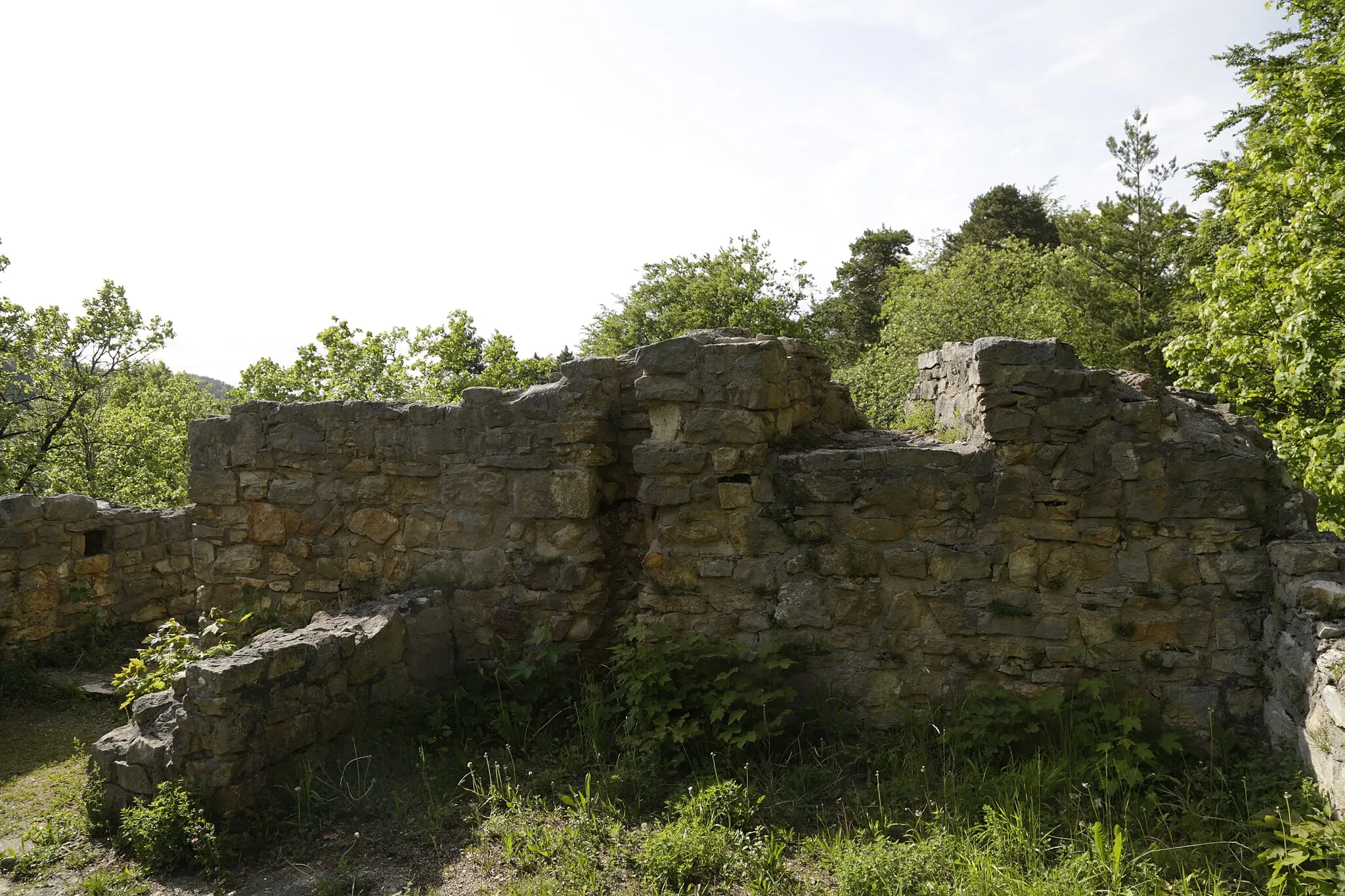 Photo showing: Die Burgruine Scheidegg. Innenseite Wand Wohnturm