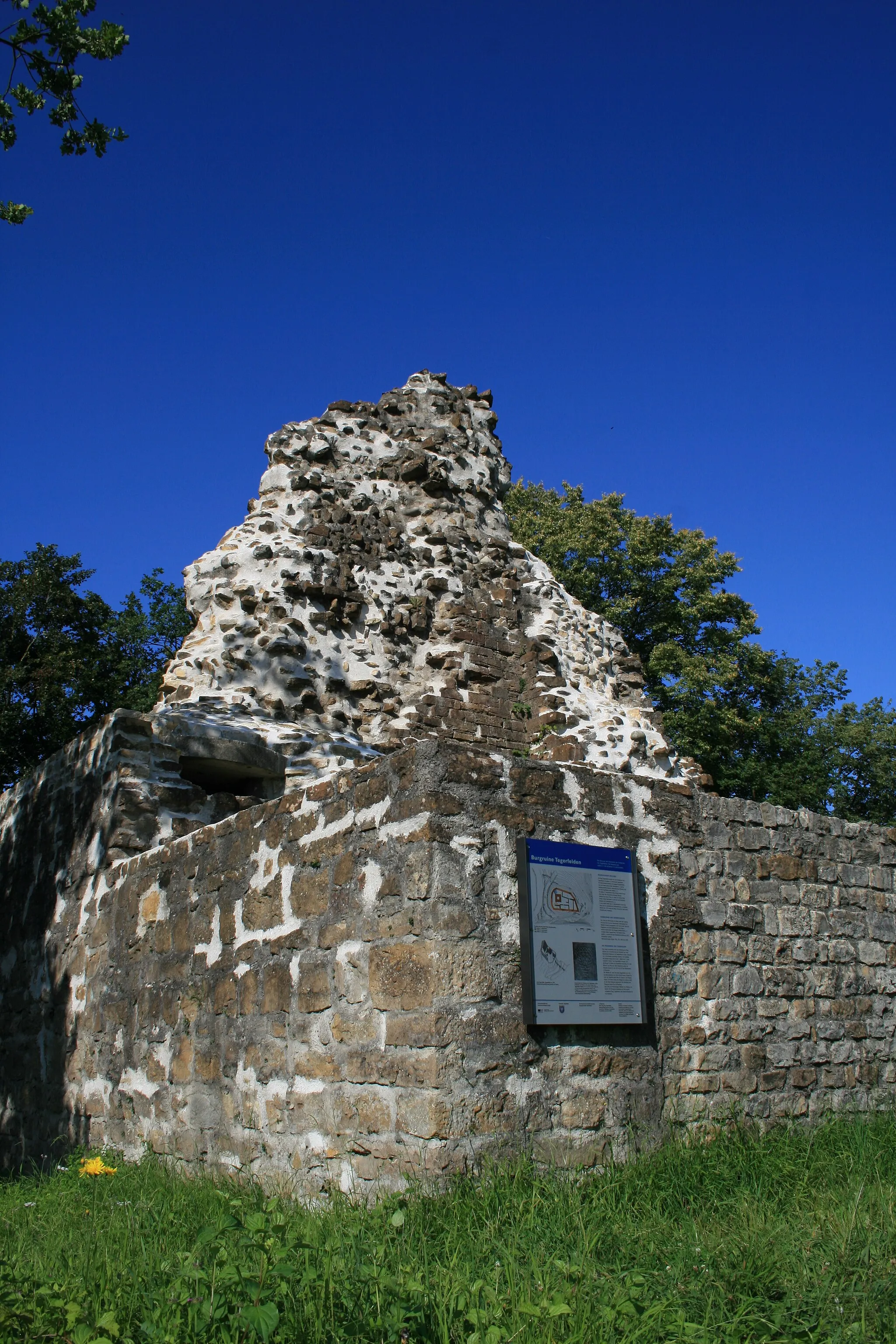 Photo showing: Ruine Tegerfelden, Schweiz
