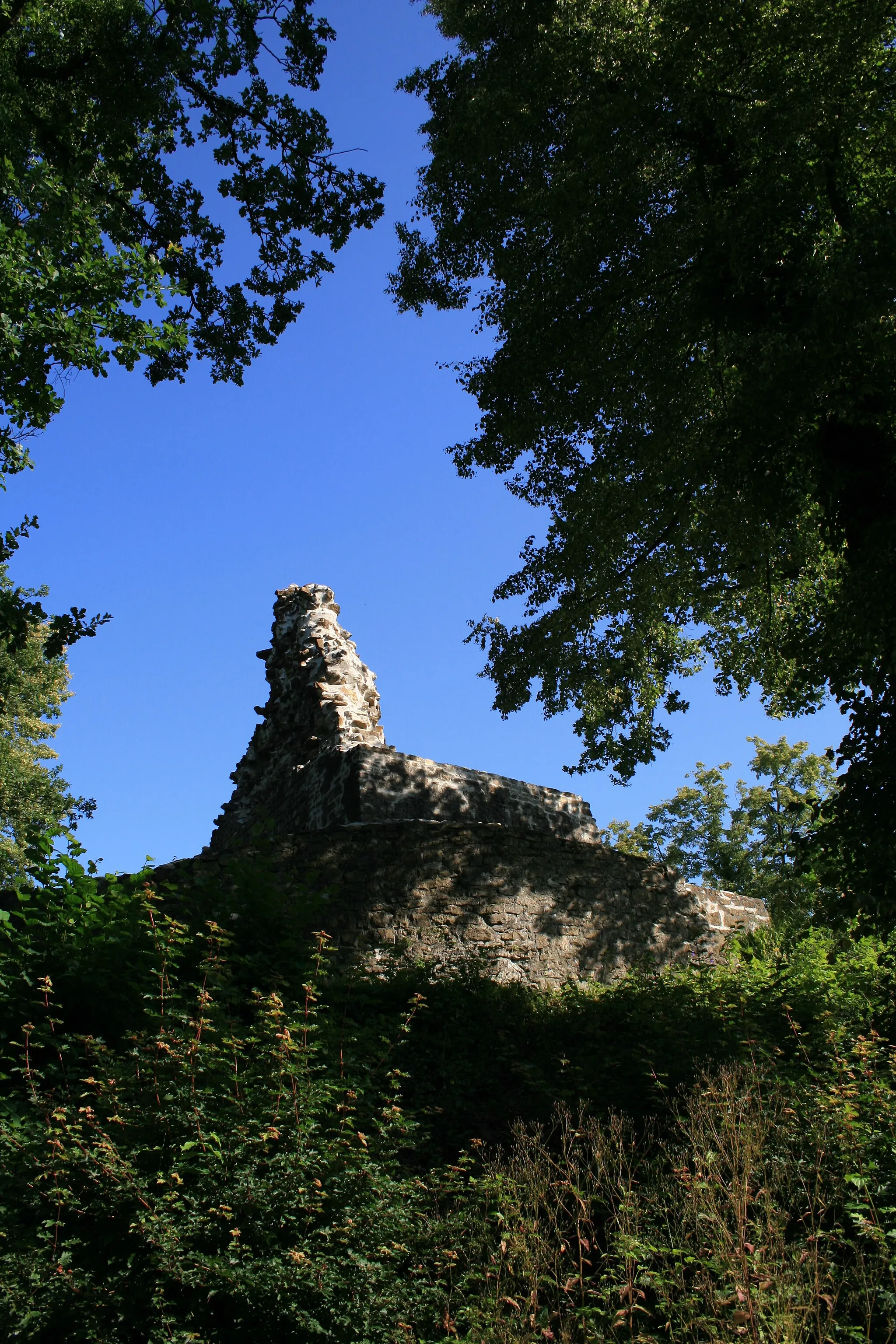 Photo showing: Ruine Tegerfelden