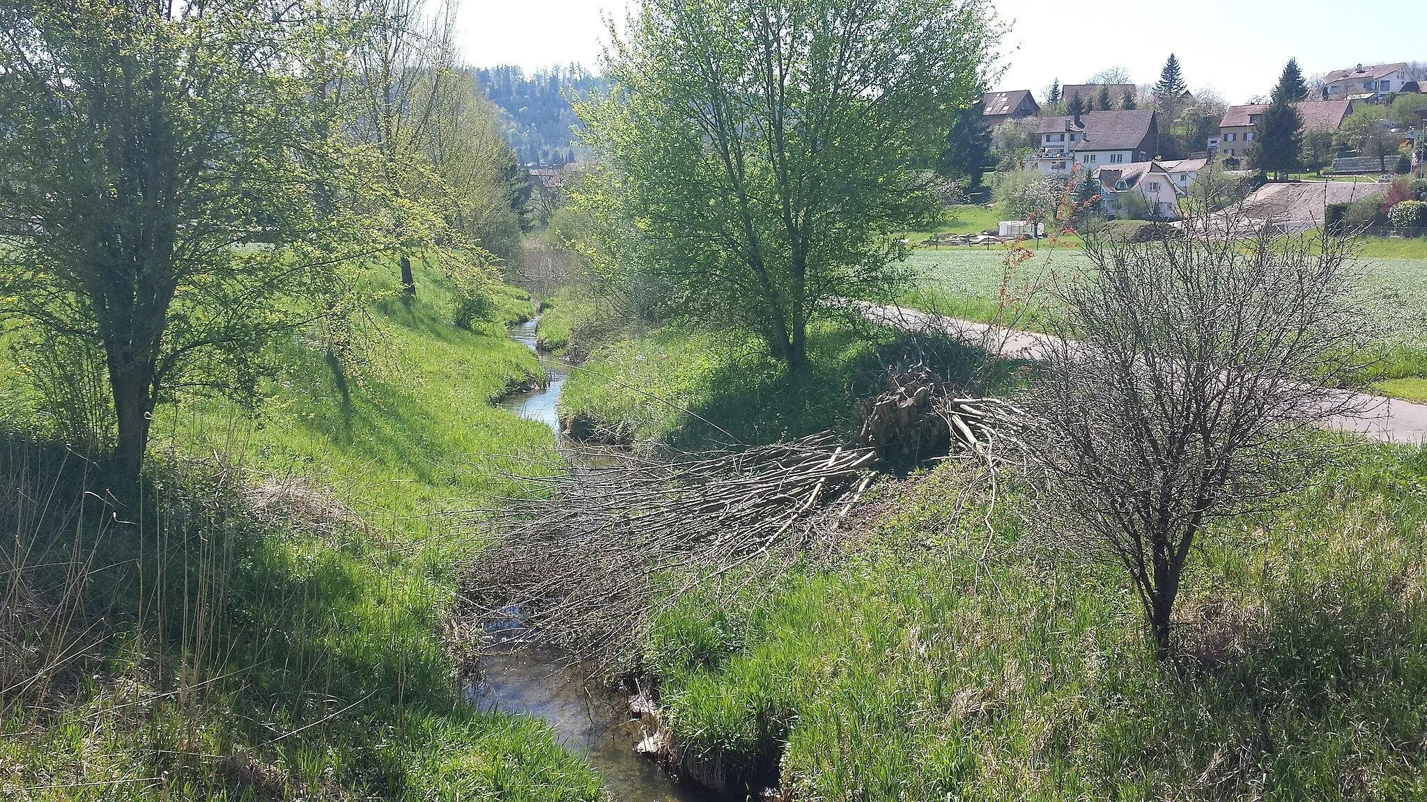 Photo showing: Büsche und Bäume am Schwarzgraben. Links des Baches liegt Mellingen, rechts Wohlenschwil.