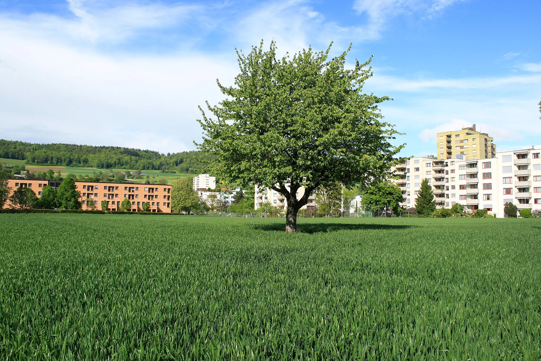 Photo showing: Nussbaumen respectively Obersiggenthal (Switzerland) as seen from Limmatuferweg