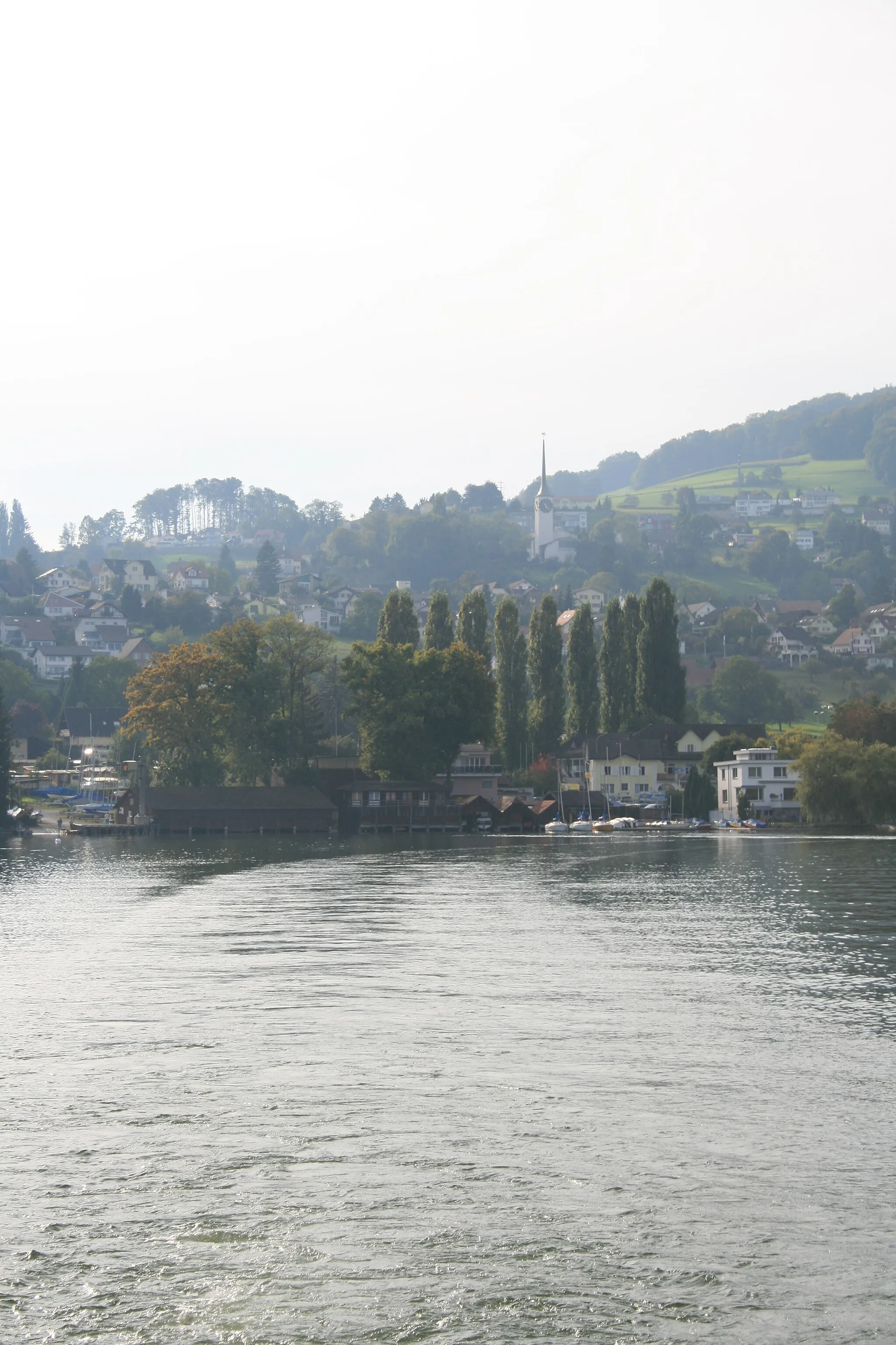 Photo showing: Blick auf Beinwil am See