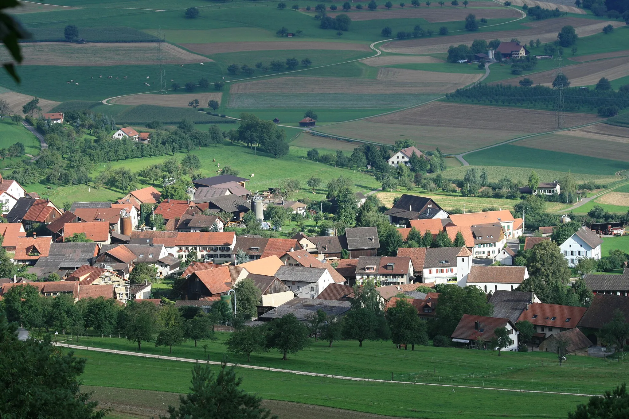 Photo showing: Mandach, Aargau, Schweiz