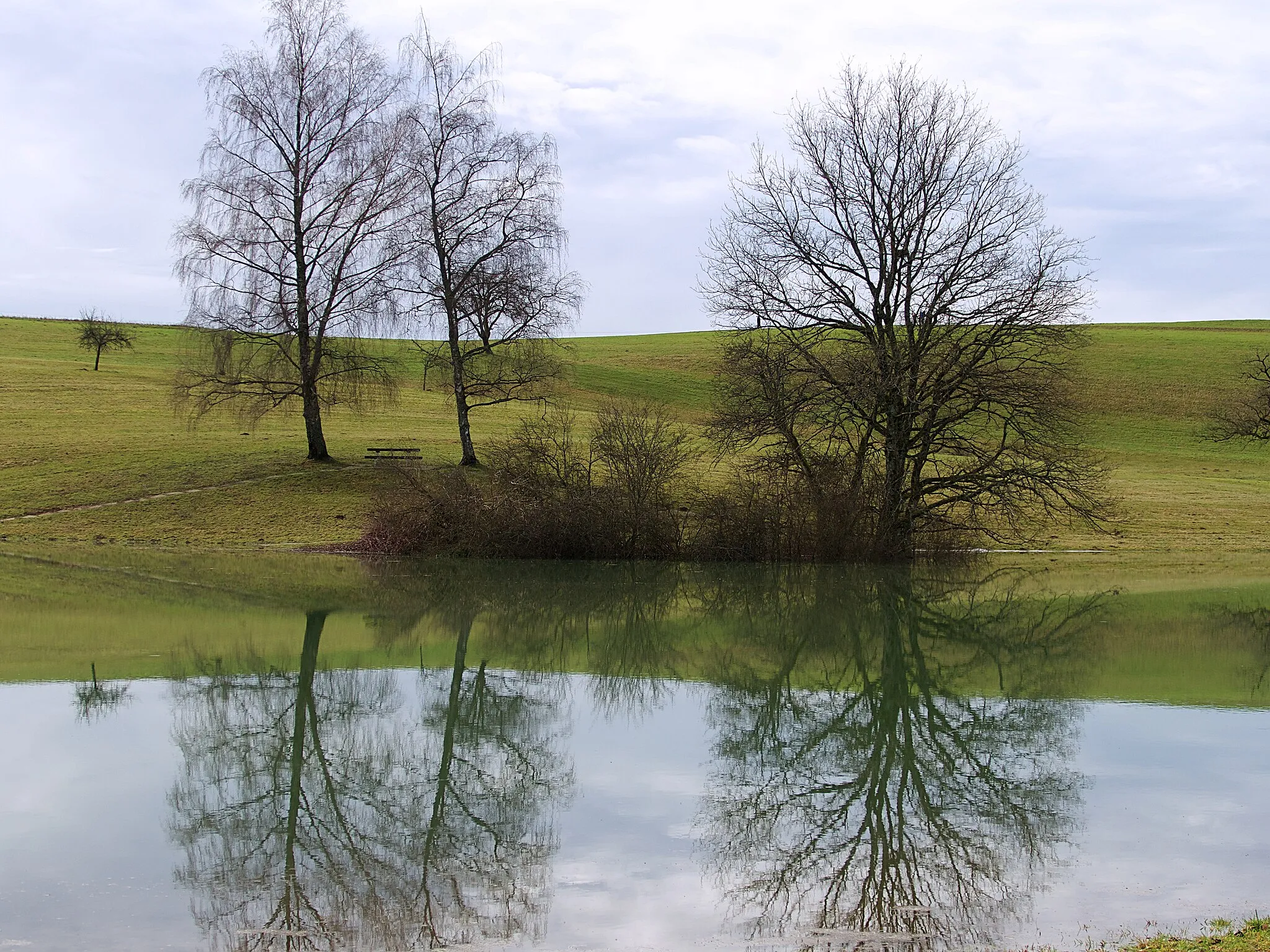 Photo showing: Spiegelung im Eichener See, zeitweise erscheinender Karstsee
Naturschutzgebiet