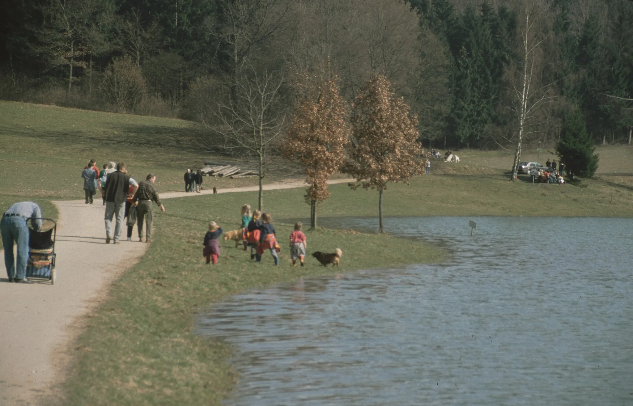 Photo showing: lake eichen