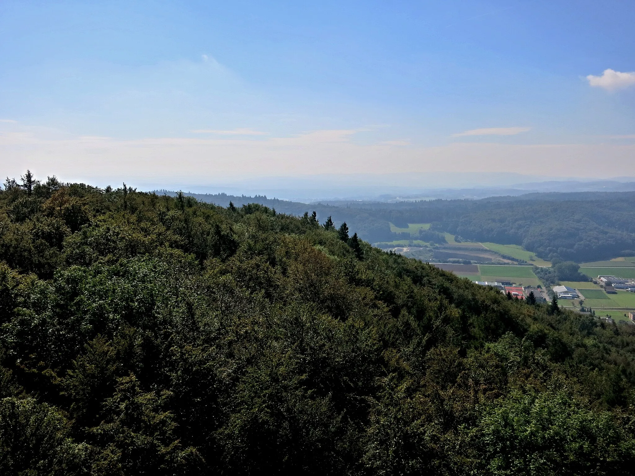 Photo showing: Aussicht vom Beringer Randenturm Richtung Süden