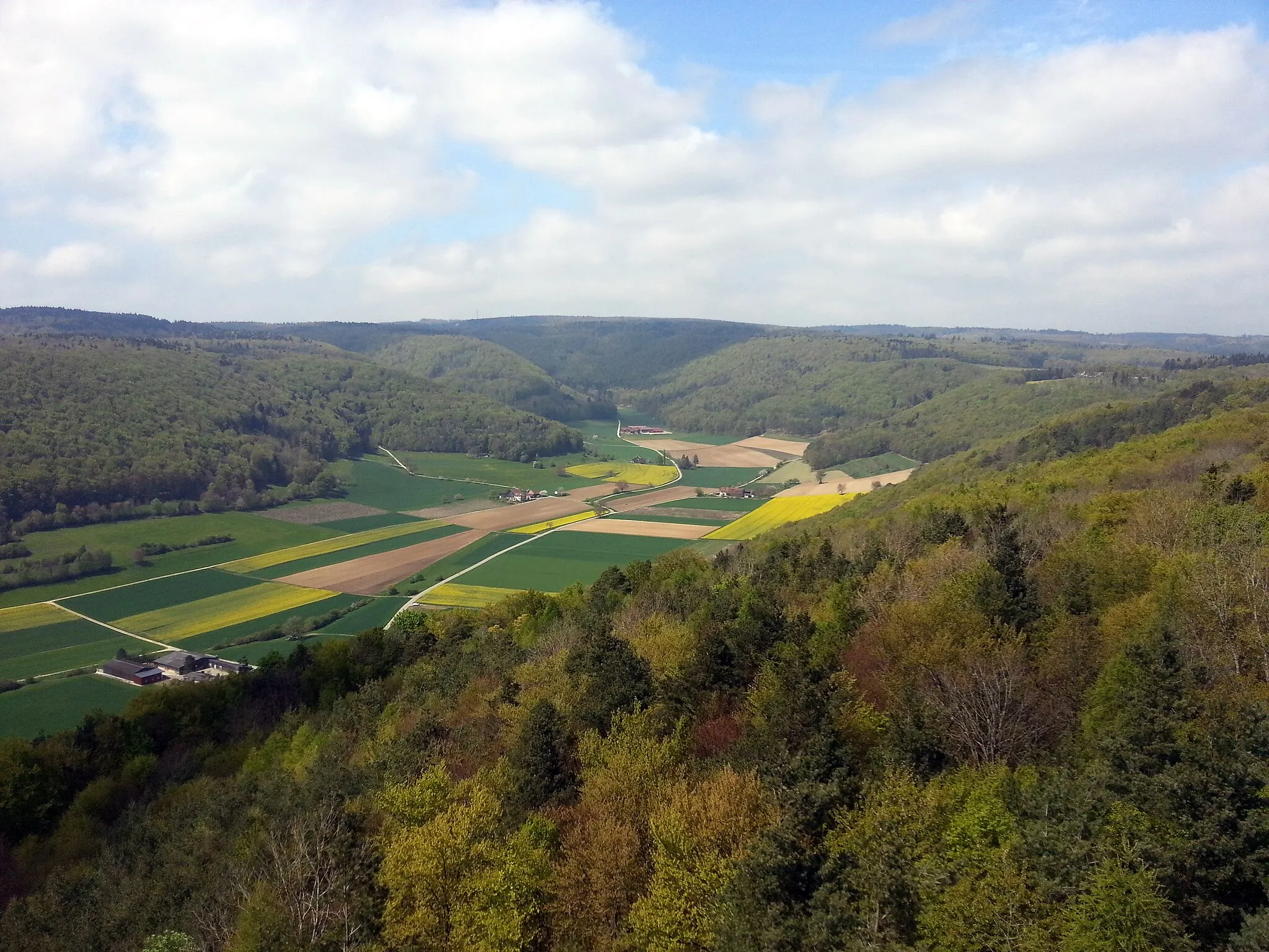 Photo showing: Beringer Randenturm Richtung Lieblosental