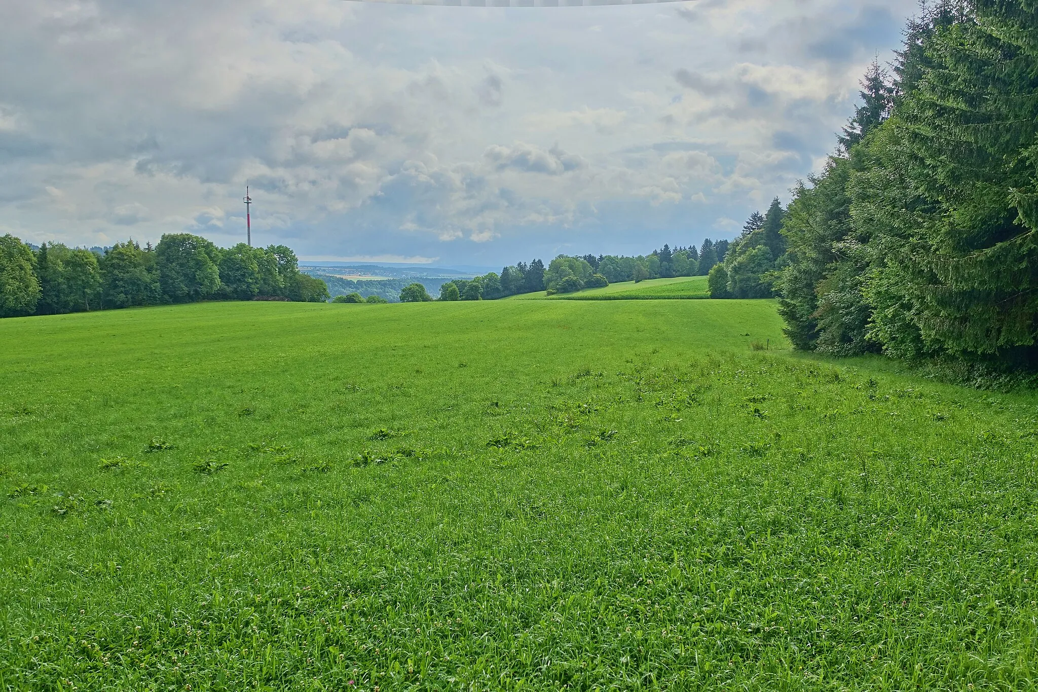 Photo showing: Im Naturschutzgebiet Vogtsberg.