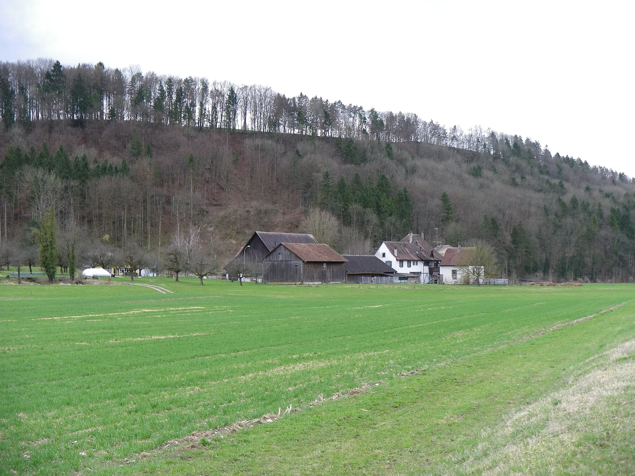 Photo showing: Der Weiler Wunderklingen bei Hallau im Kanton Schaffhausen aus Nordöstlicher Richtung gesehen.