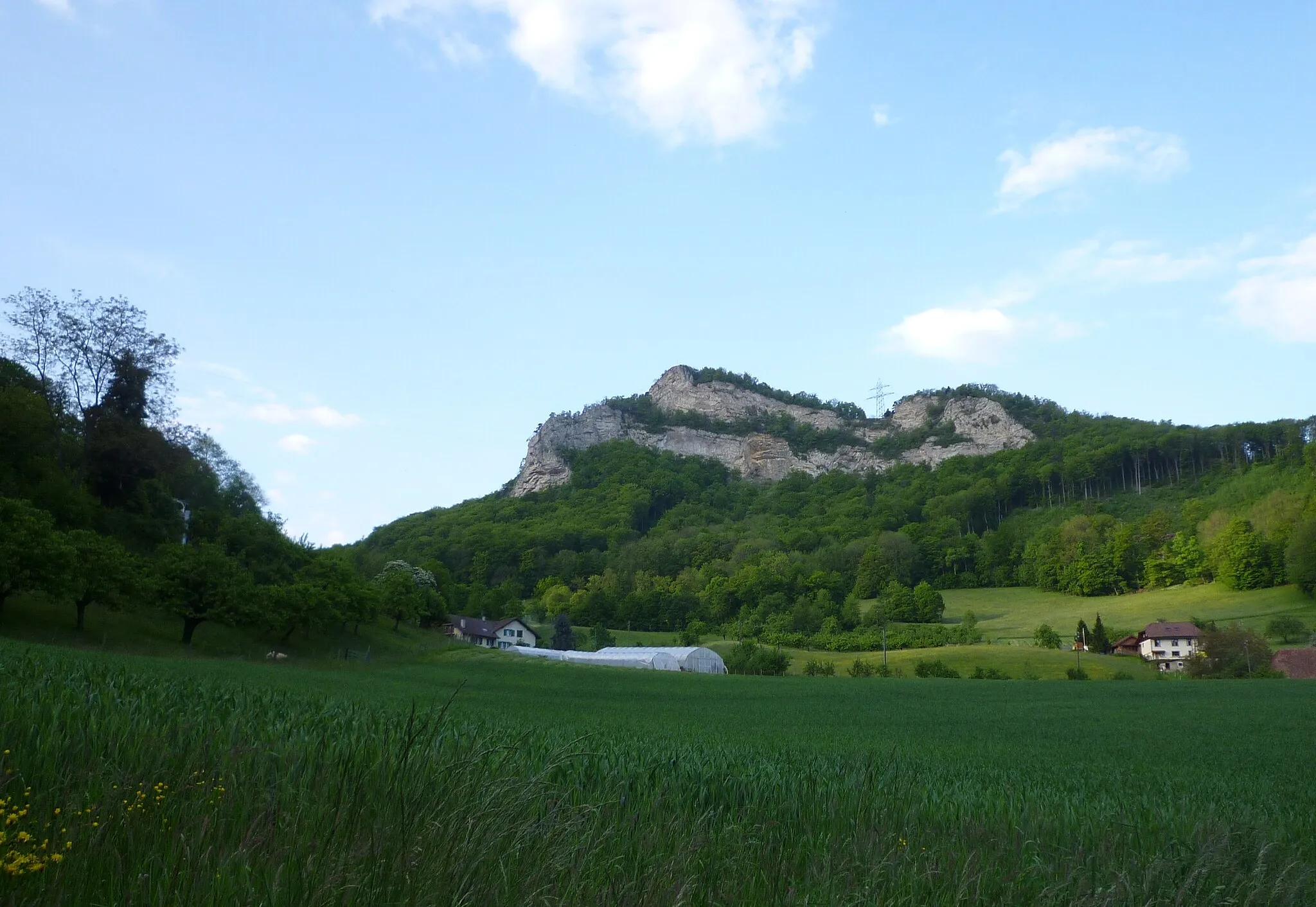 Photo showing: Geissfluh(Trimbach SO, Switzerland), view from West