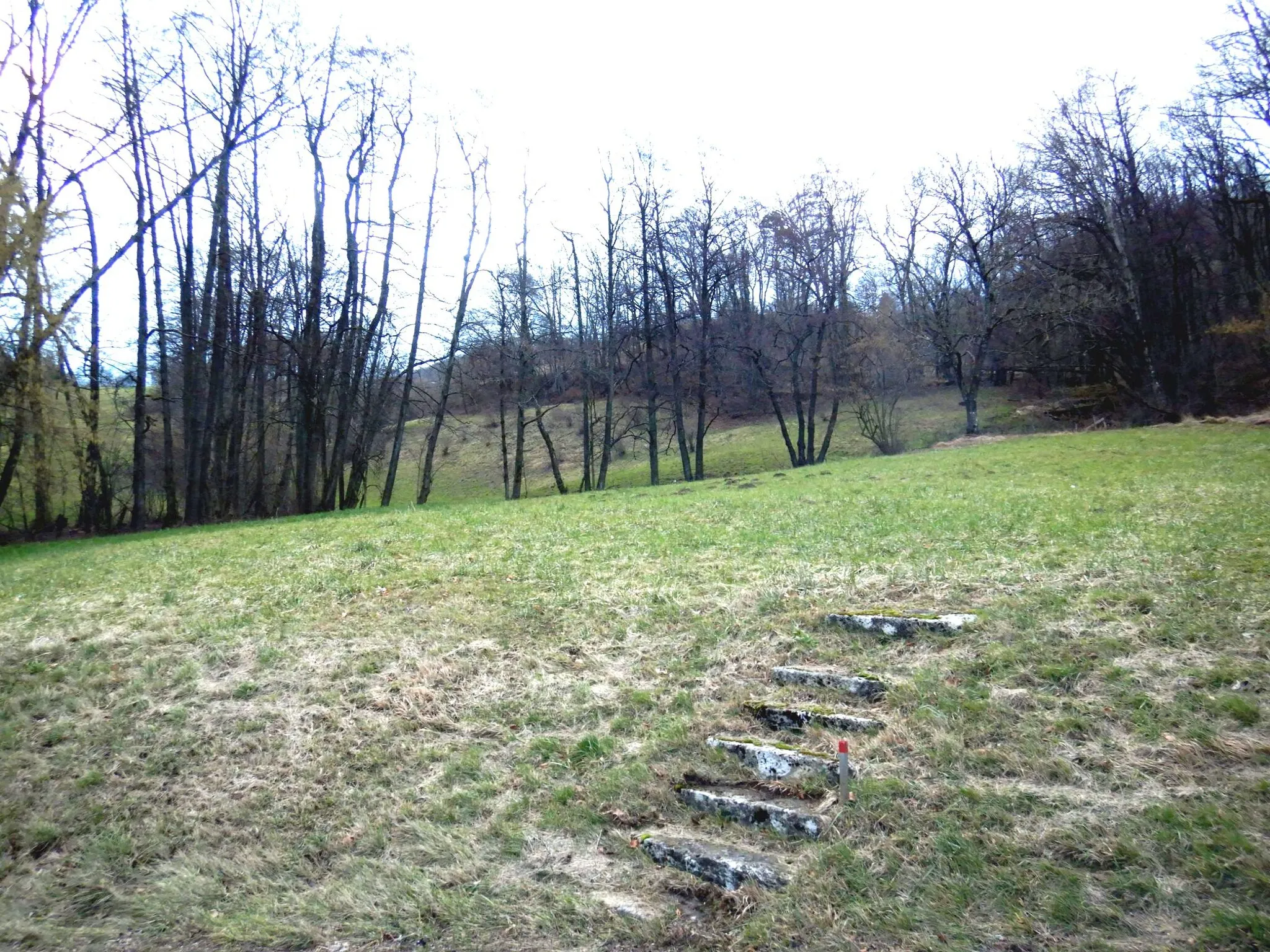 Photo showing: Steintreppe Stäglimatt, in Küttigen, Treppe.