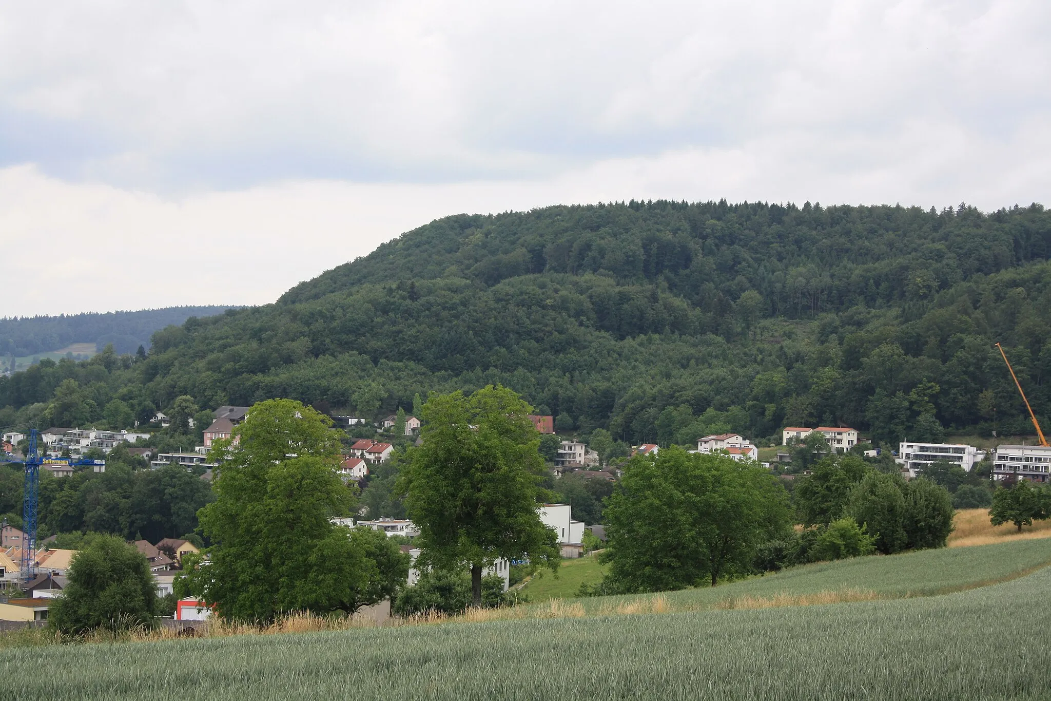 Photo showing: Gebenstorfer Horn