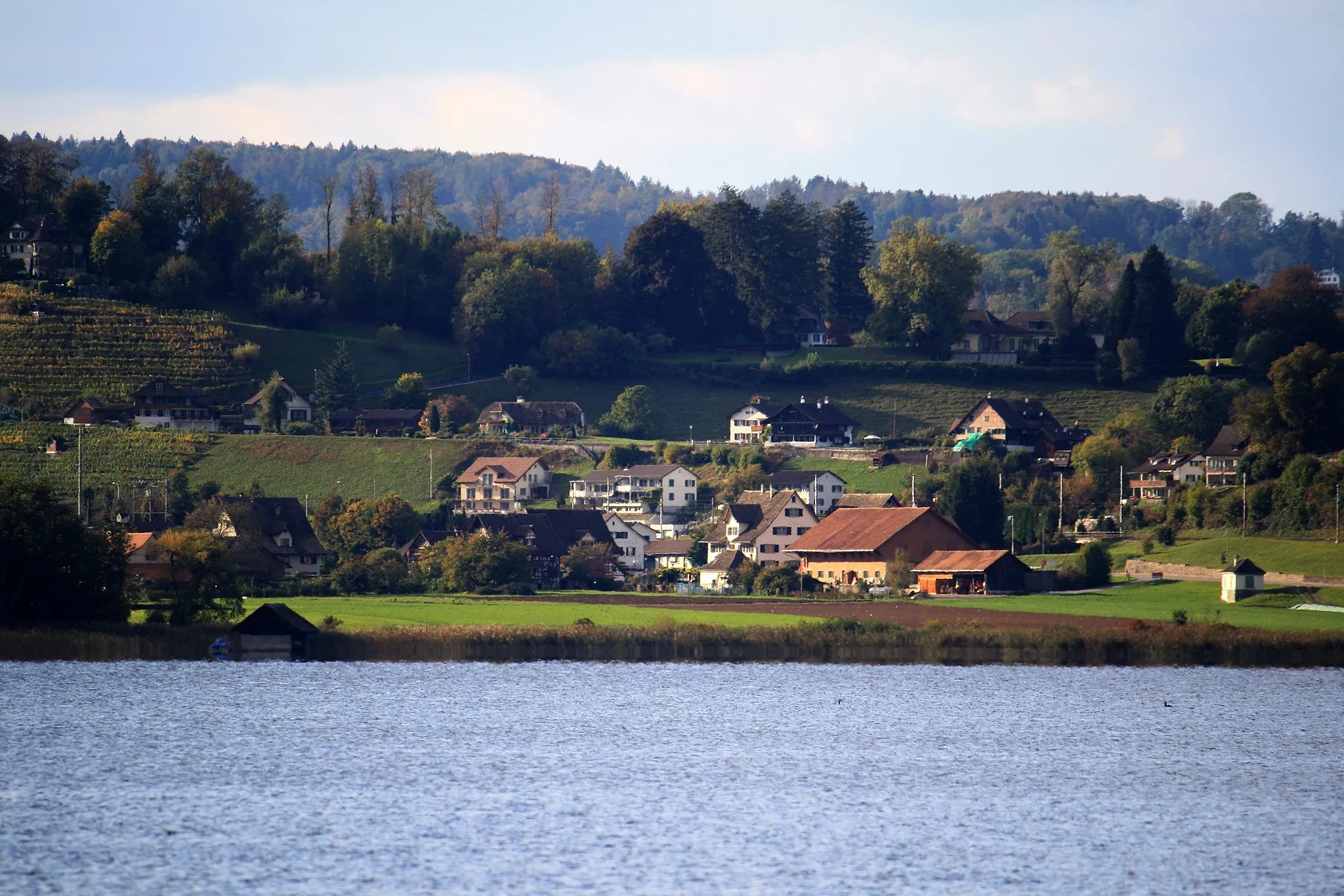 Photo showing: Feldbach (Switzerland) as seen from Rapperswil (SG)