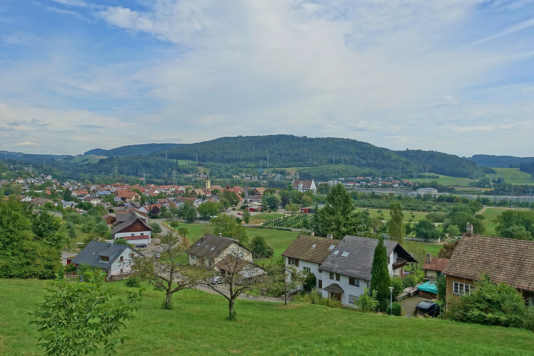 Photo showing: Blick auf Gurtweil (Waldshut-Tiengen), rechts Umspannwerk Gurtweil.