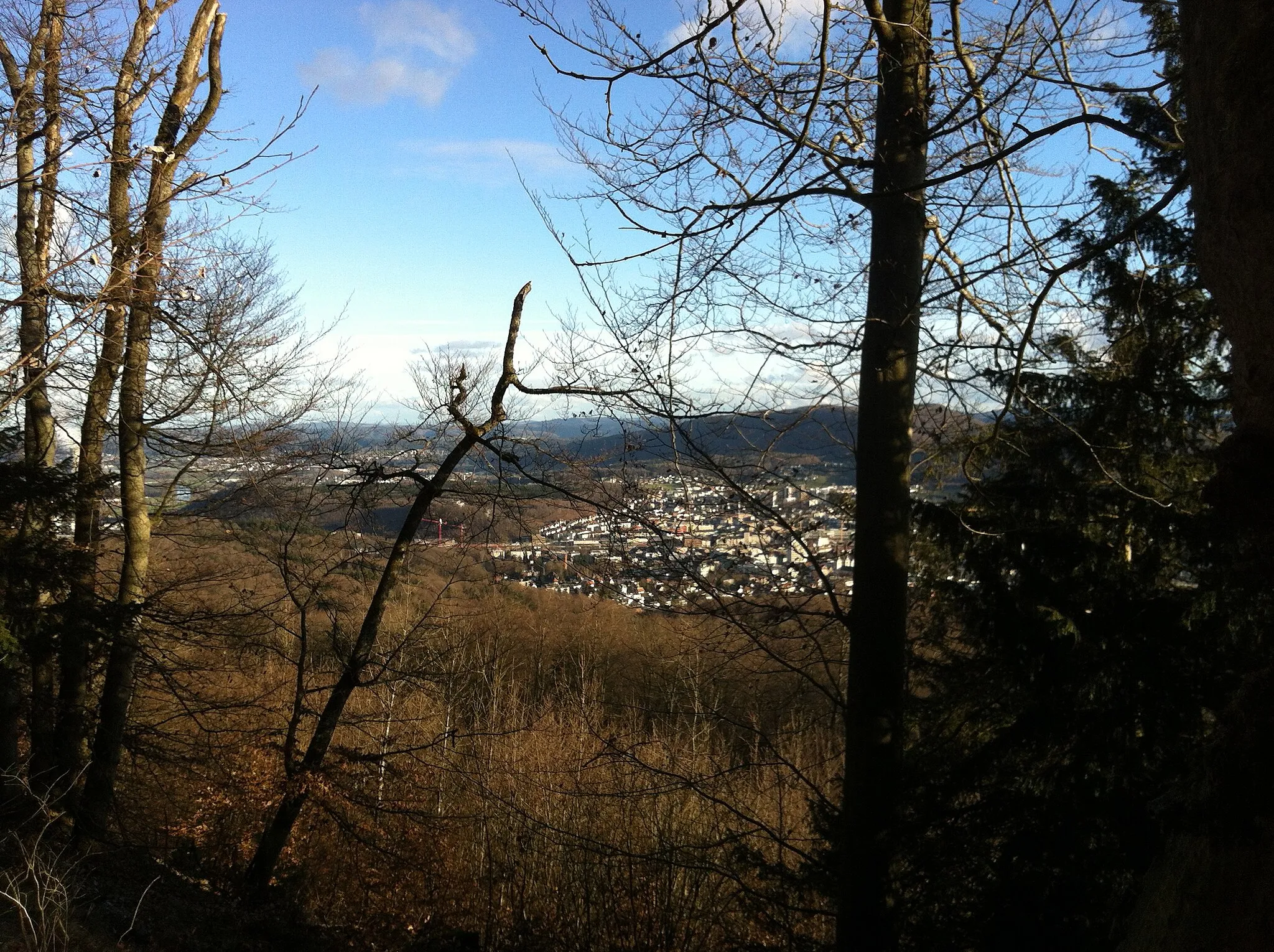 Photo showing: View from Rumpelhöchi to Olten through forest
