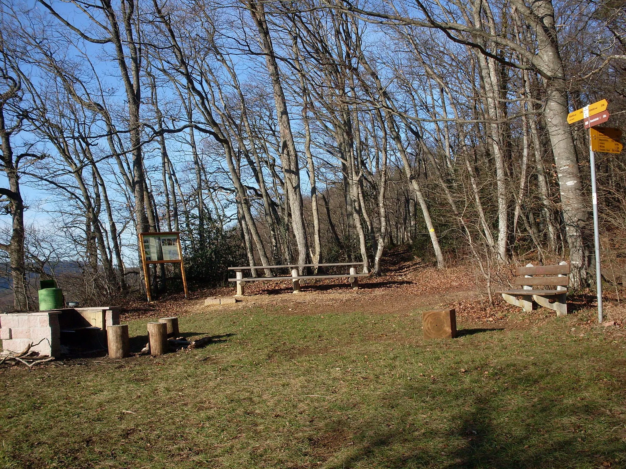 Photo showing: Picknickplatz mit Feuerstelle auf der Roten Flue, Gemeinde Rothenfluh, Schweiz