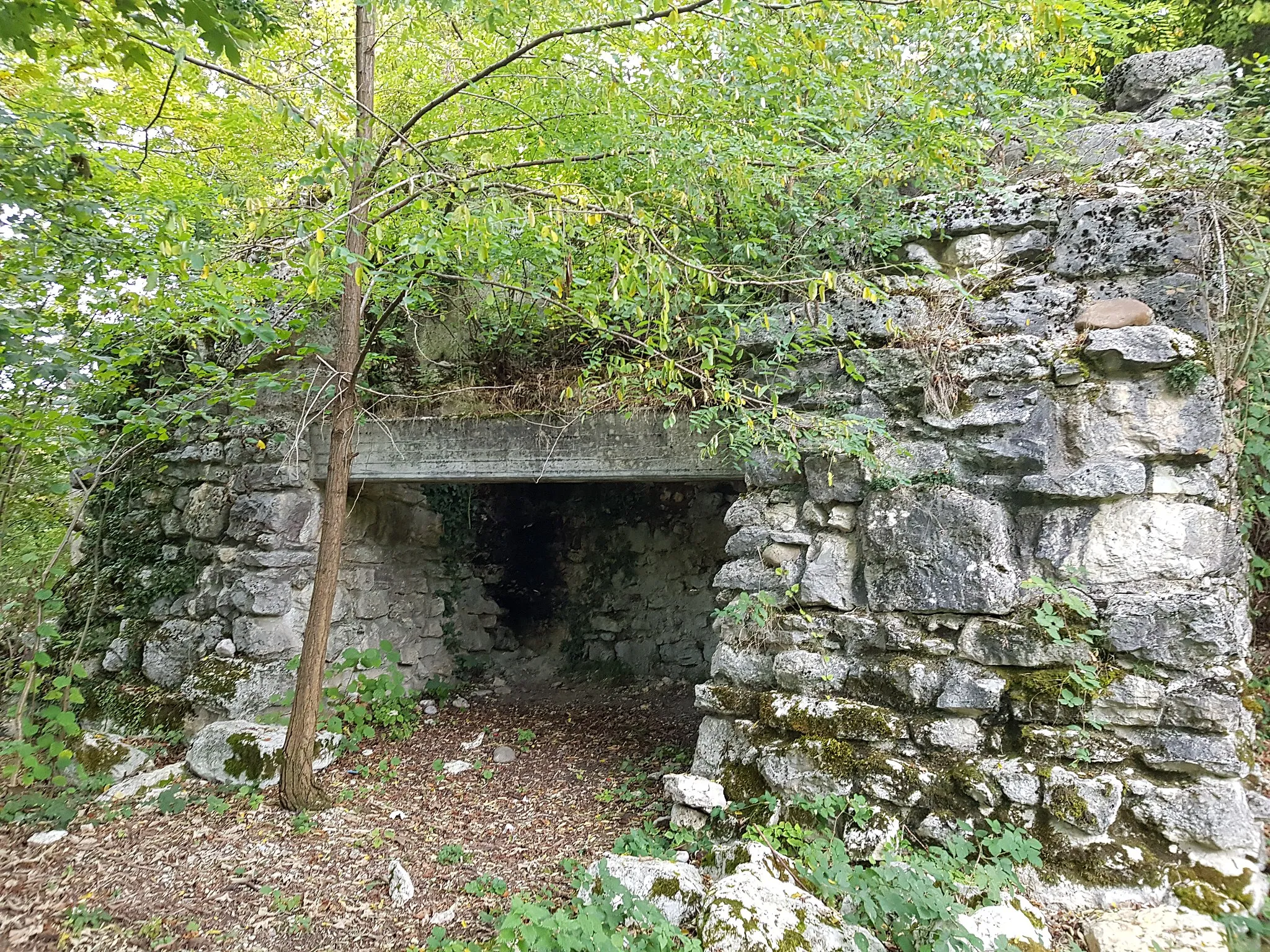 Photo showing: Burgruine Göskon bei Obergösgen. Reste (teilweise restauriert/konserviert) von Mauern vom Süden aus gesehen.