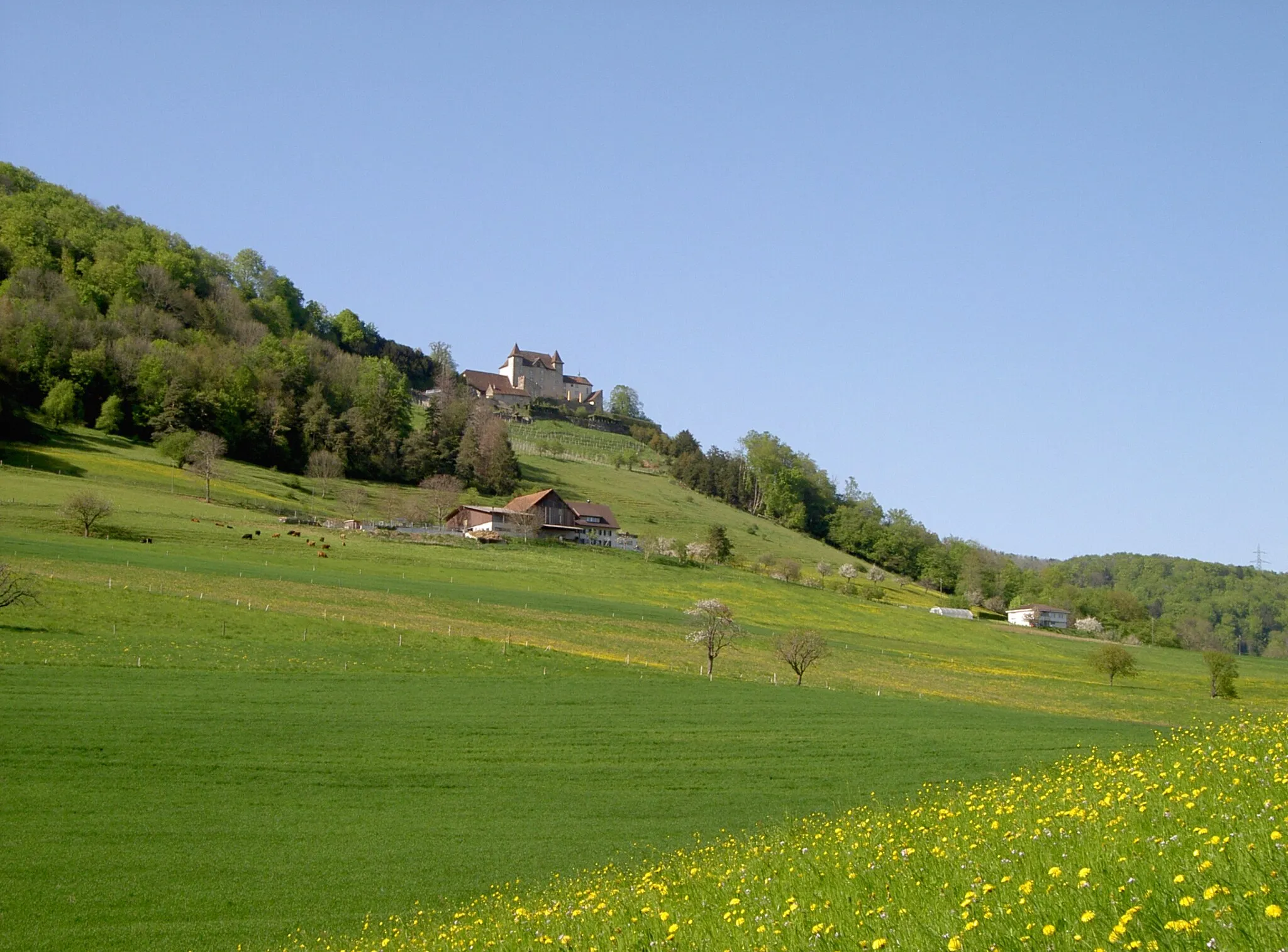 Photo showing: Schloss Wartenfels bei Lostorf.